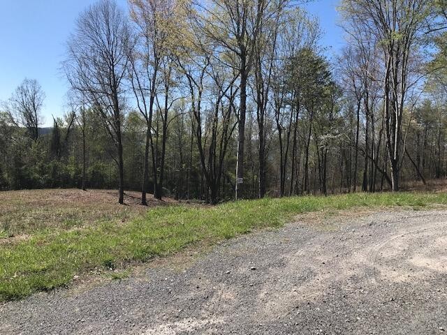 9 Piney View Drive Property Photo 1
