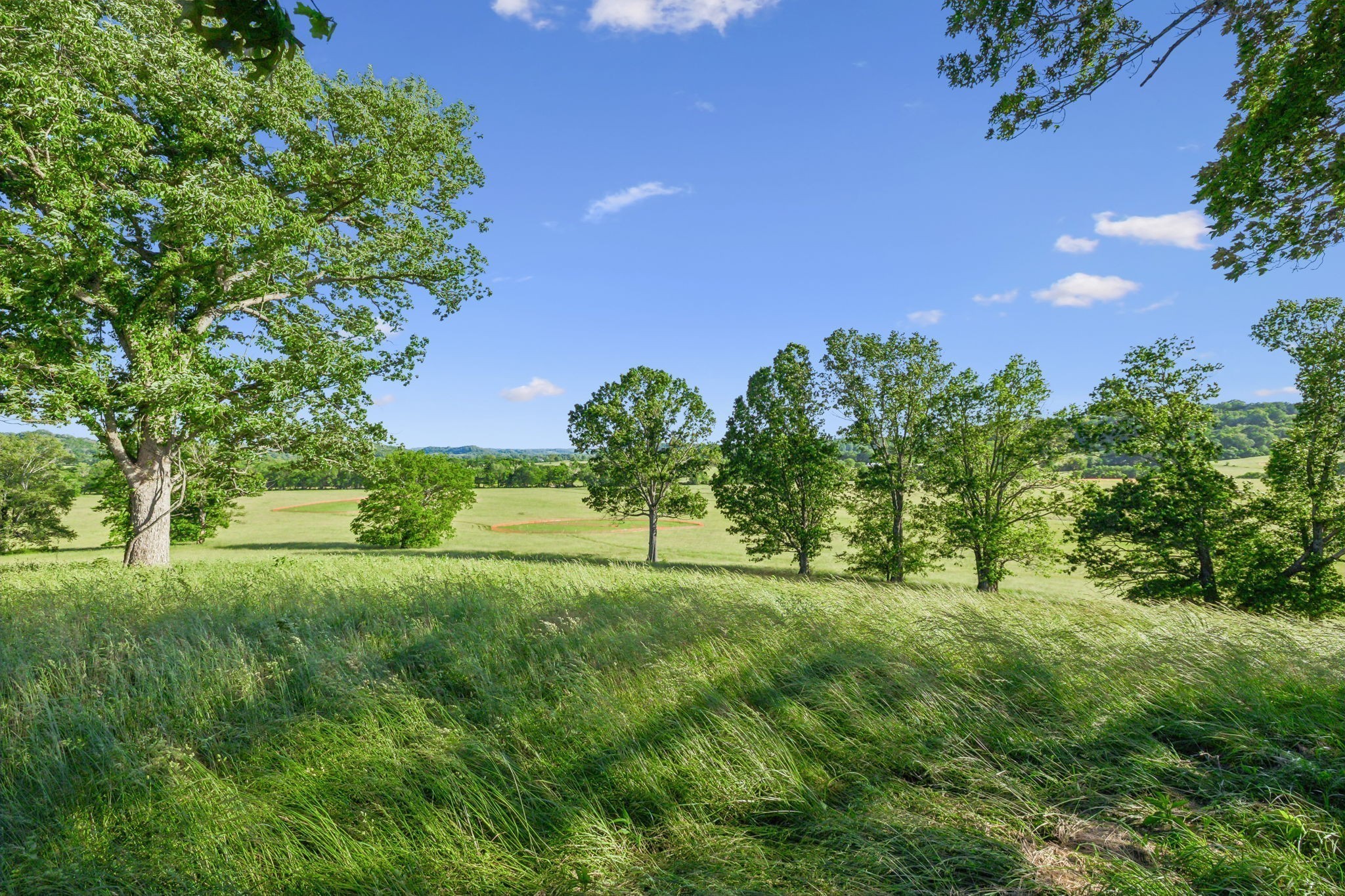 3201 Carl Rd Property Photo 4