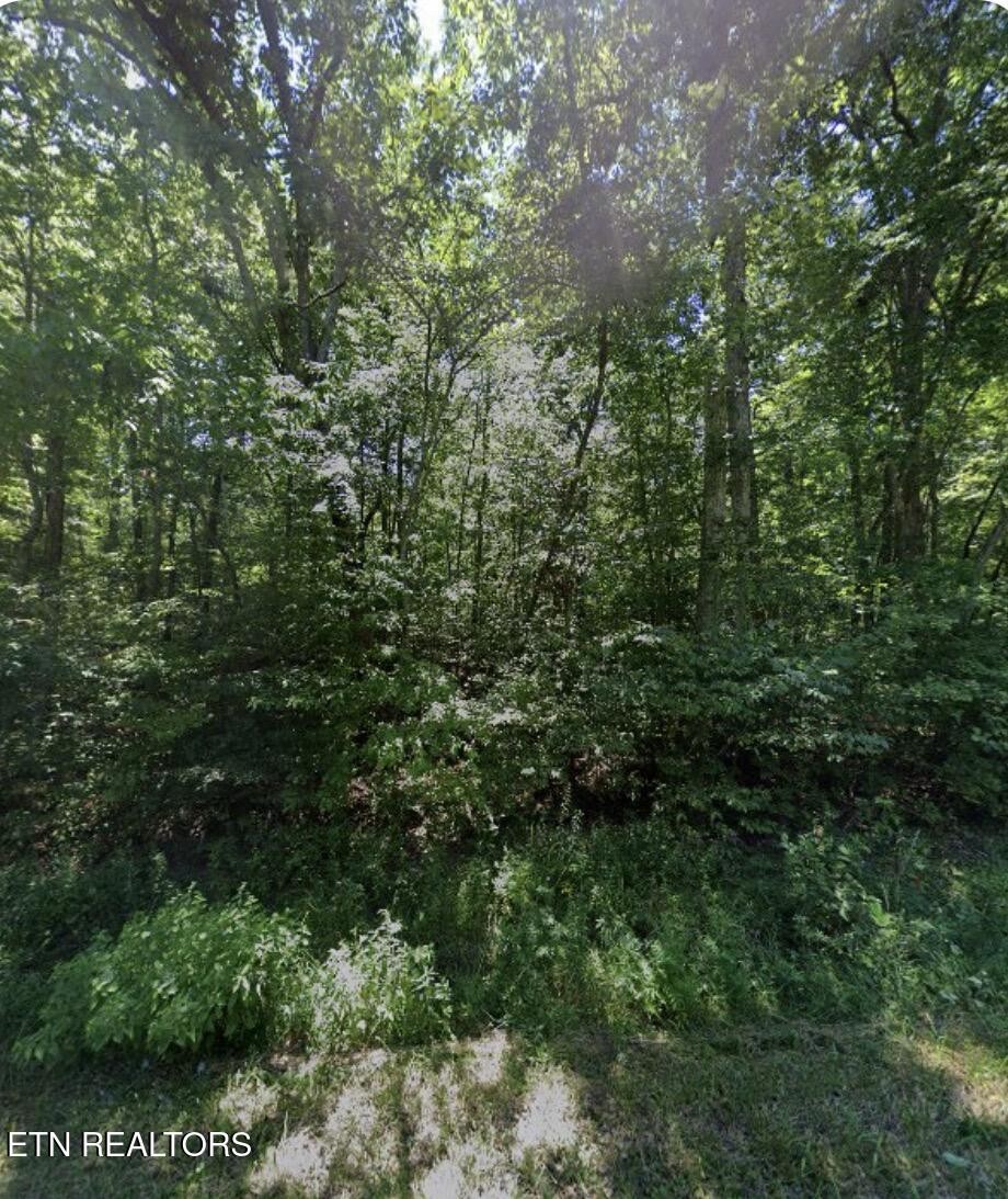 6115 Pocahontas Lane Property Photo 1