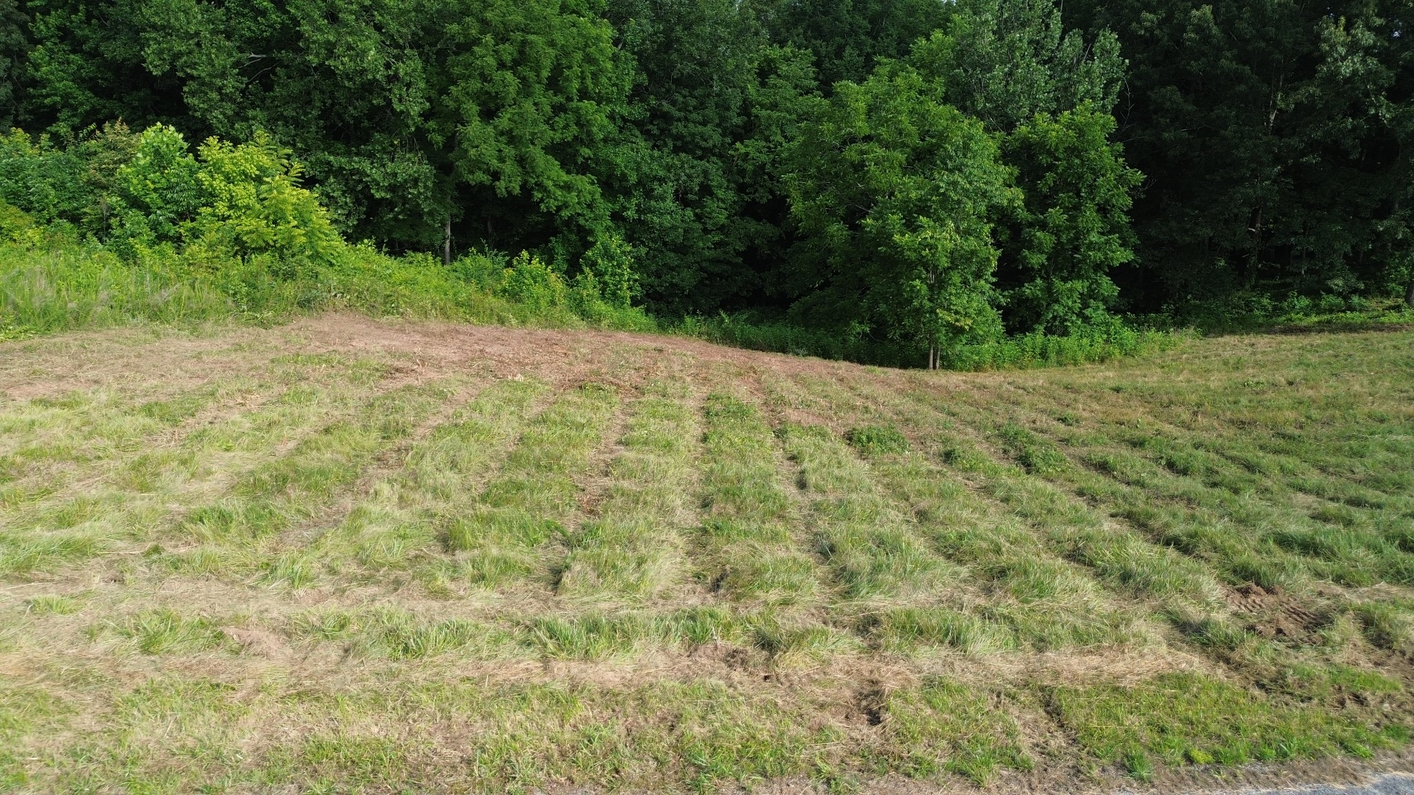 0 Summer Breeze Dr Property Photo 1