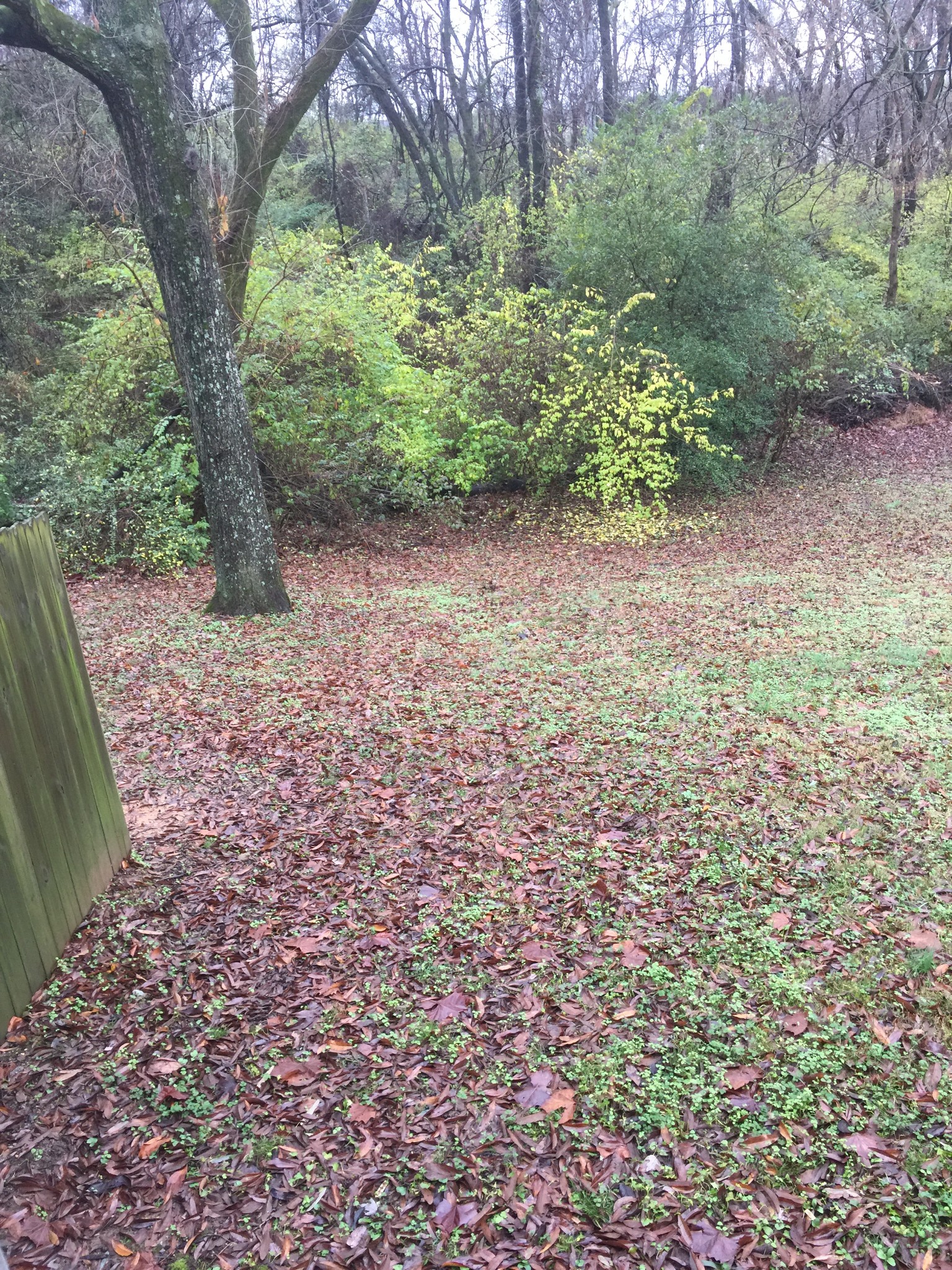 425 Ezell Pike Property Photo 24