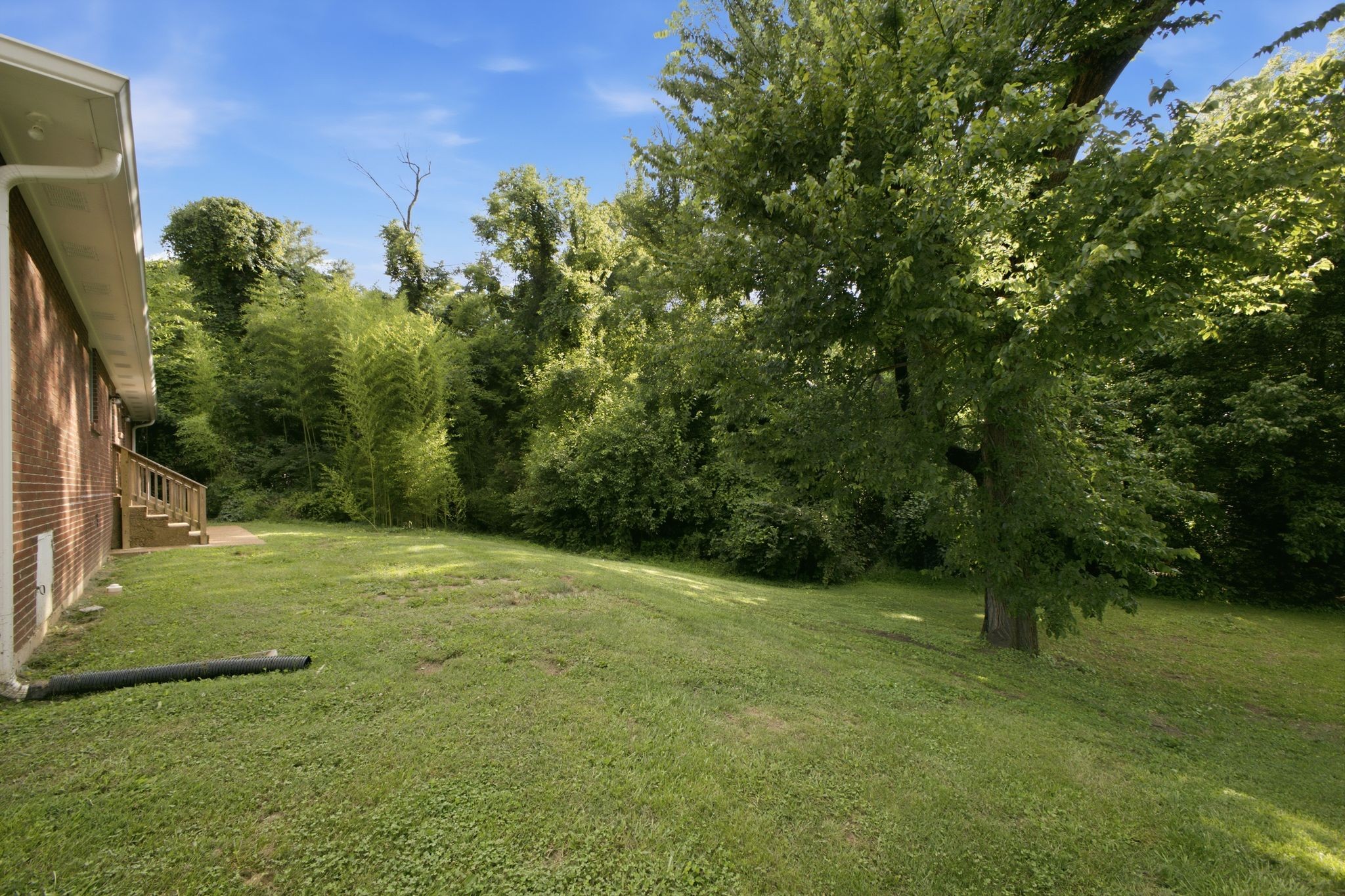 425 Ezell Pike Property Photo 30