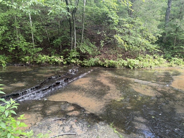 29 GIbbs Rd