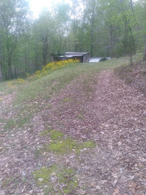 29 Gibbs Rd Property Photo 15