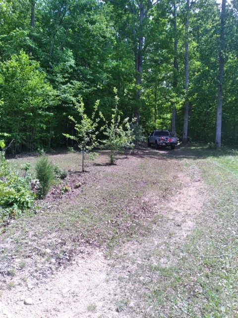 29 Gibbs Rd Property Photo 19