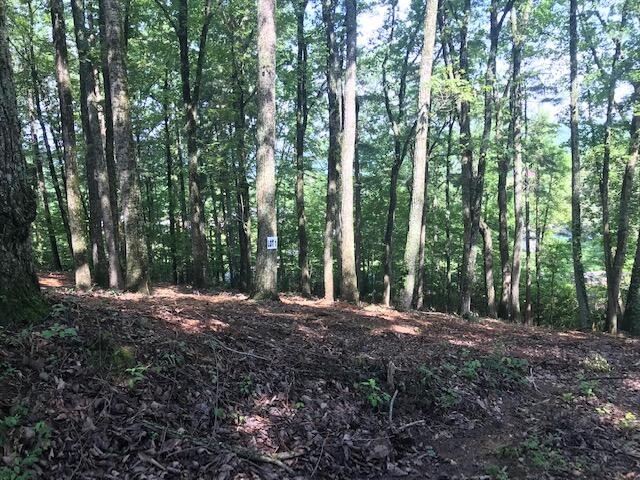 25 Piney Knob Drive Property Photo 1