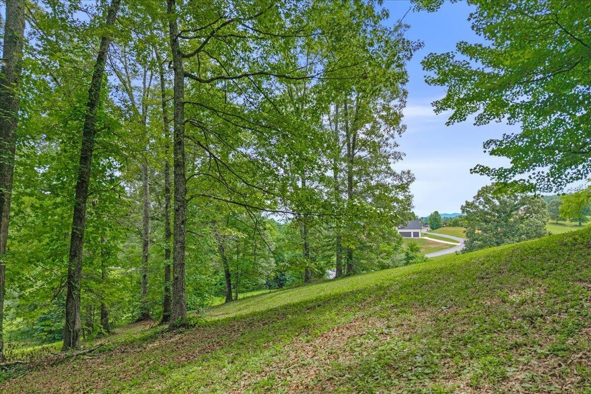 34 Springwater Run Property Photo 13