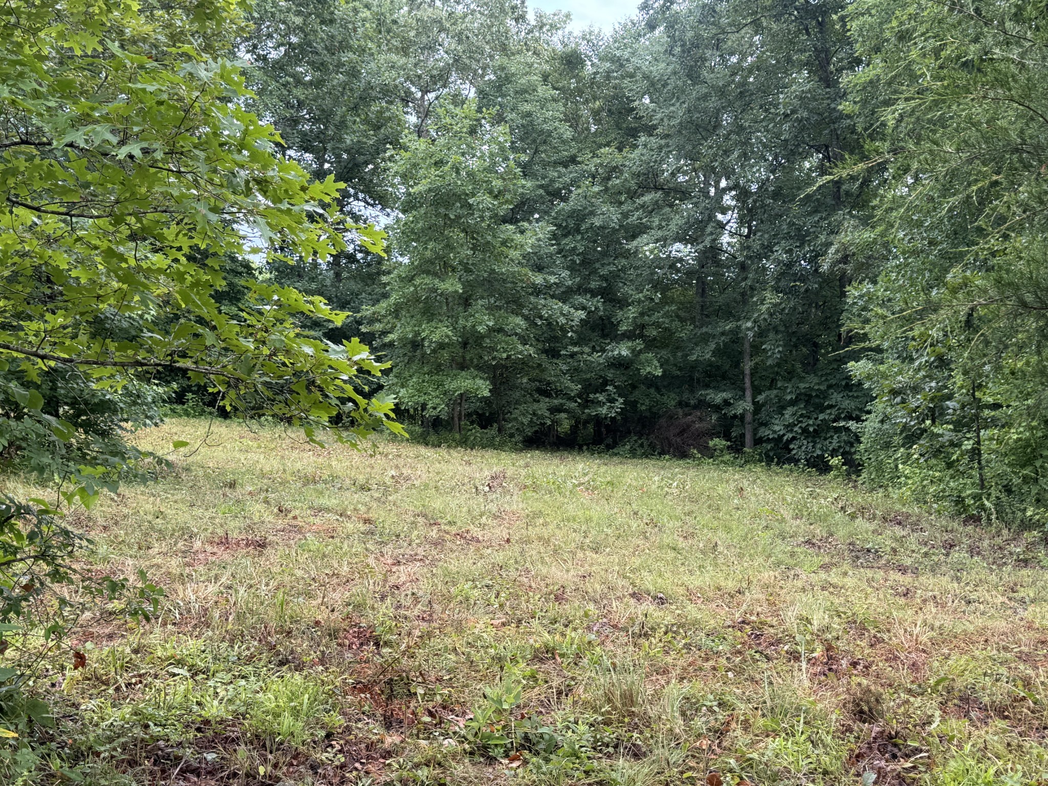 0 Johnson Hollow Rd Property Photo 1