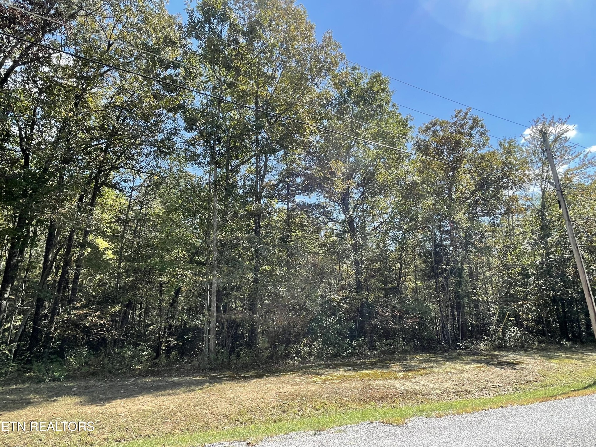 130 Stillington Loop Property Photo 2
