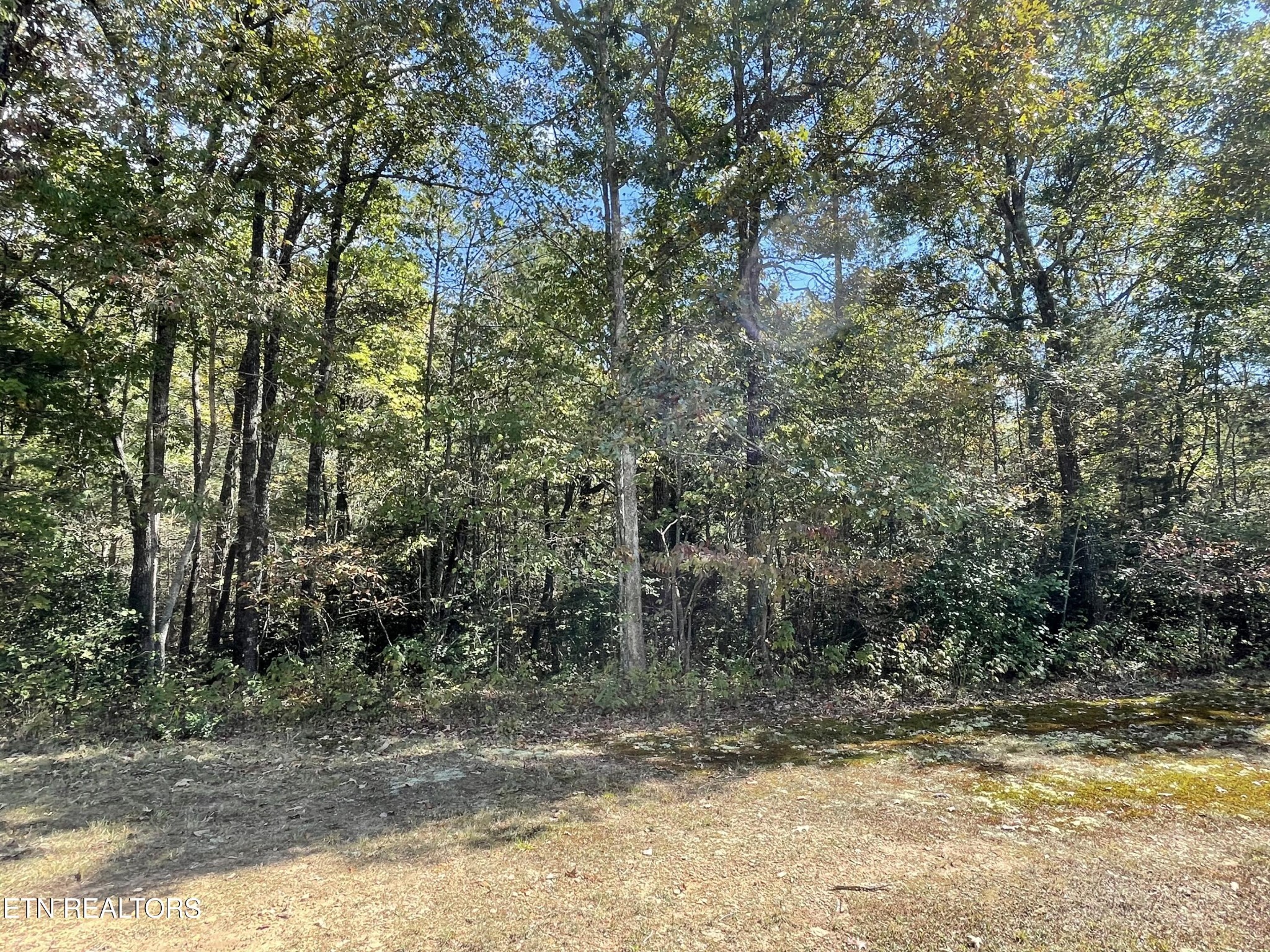 130 Stillington Loop Property Photo 3