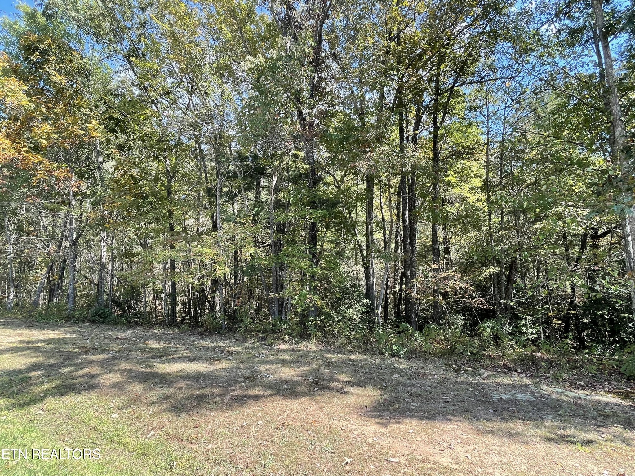 130 Stillington Loop Property Photo 4