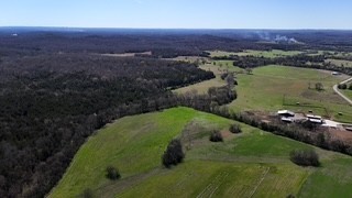 6790 Flat Creek Rd Property Photo 7