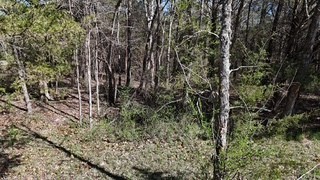 6790 Flat Creek Rd Property Photo 8