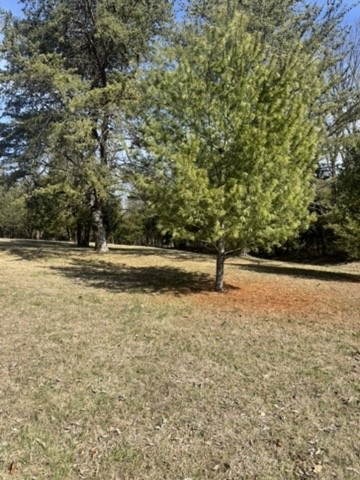 6790 Flat Creek Rd Property Photo 19
