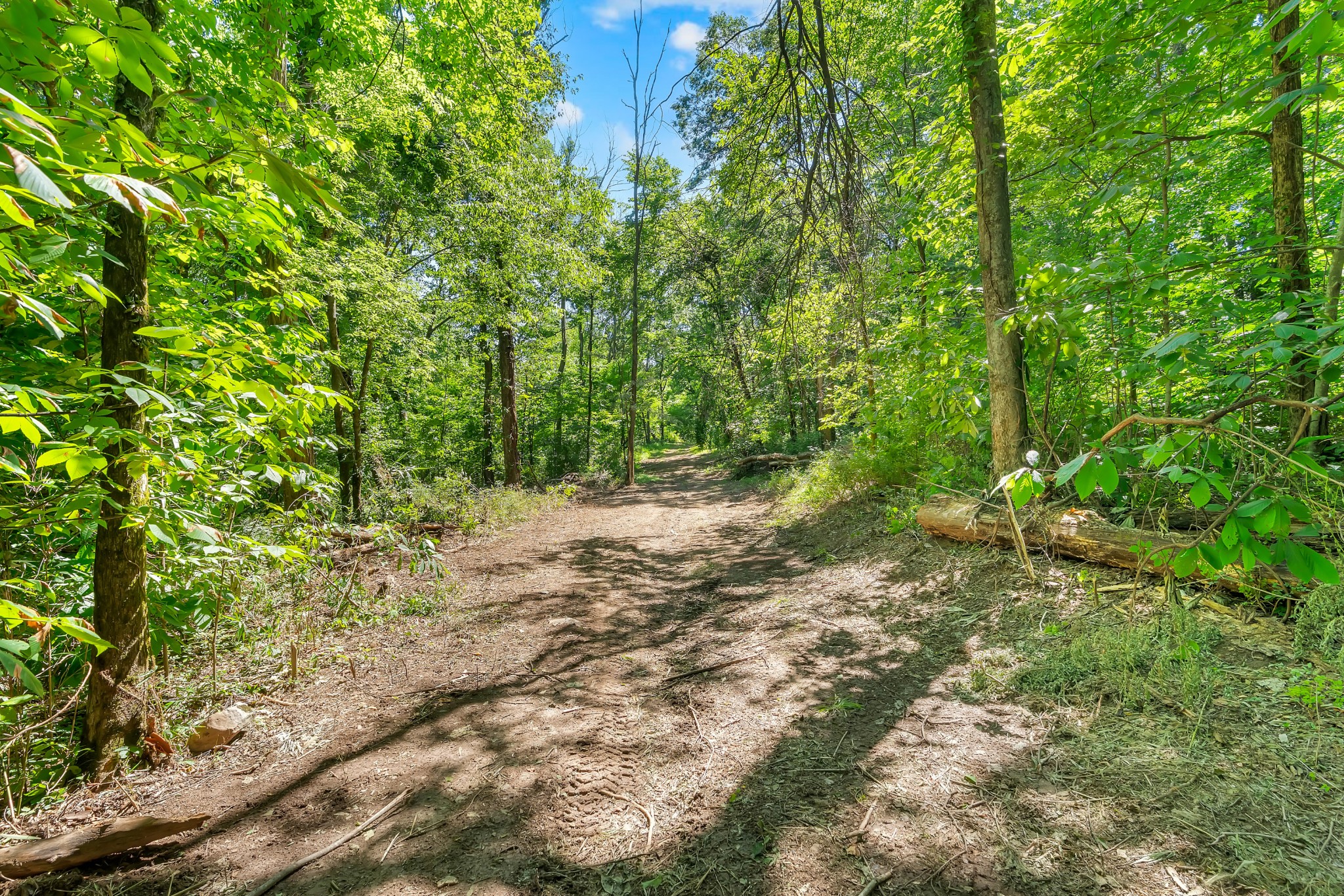 0 Wolf Hill Road Property Photo 3