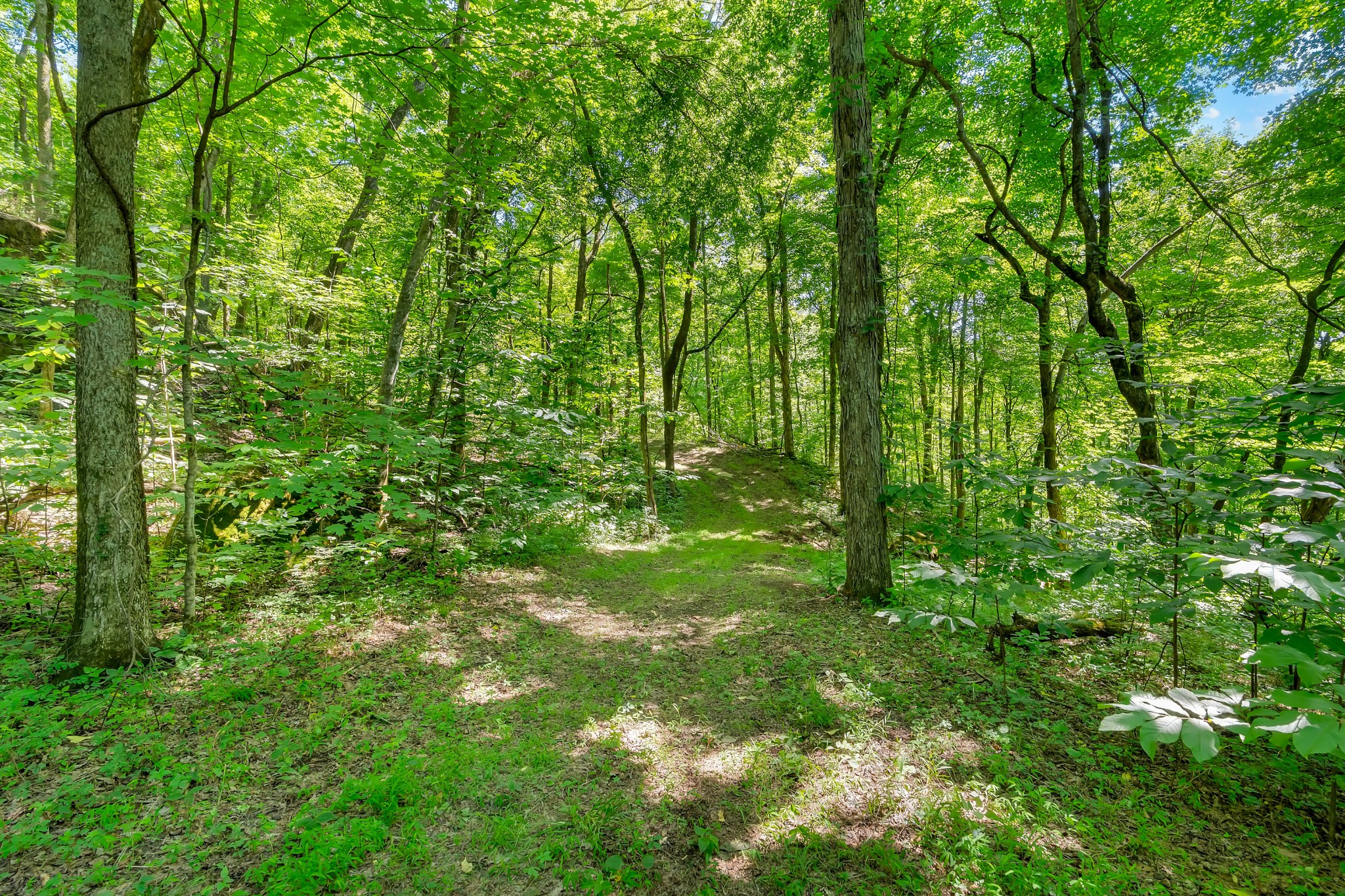0 Wolf Hill Road Property Photo 10