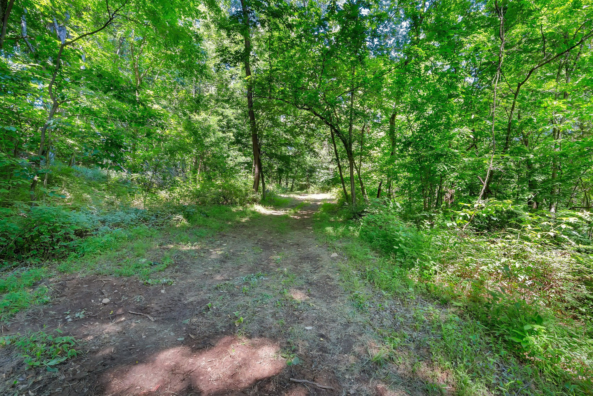 0 Wolf Hill Road Property Photo 11