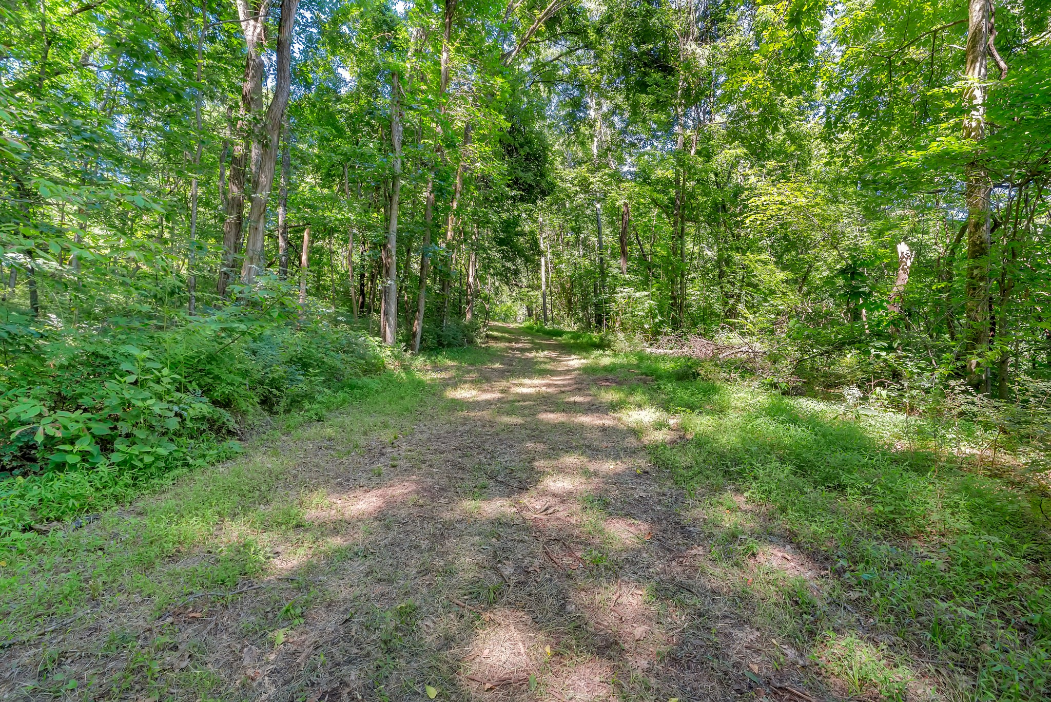 0 Wolf Hill Road Property Photo 17