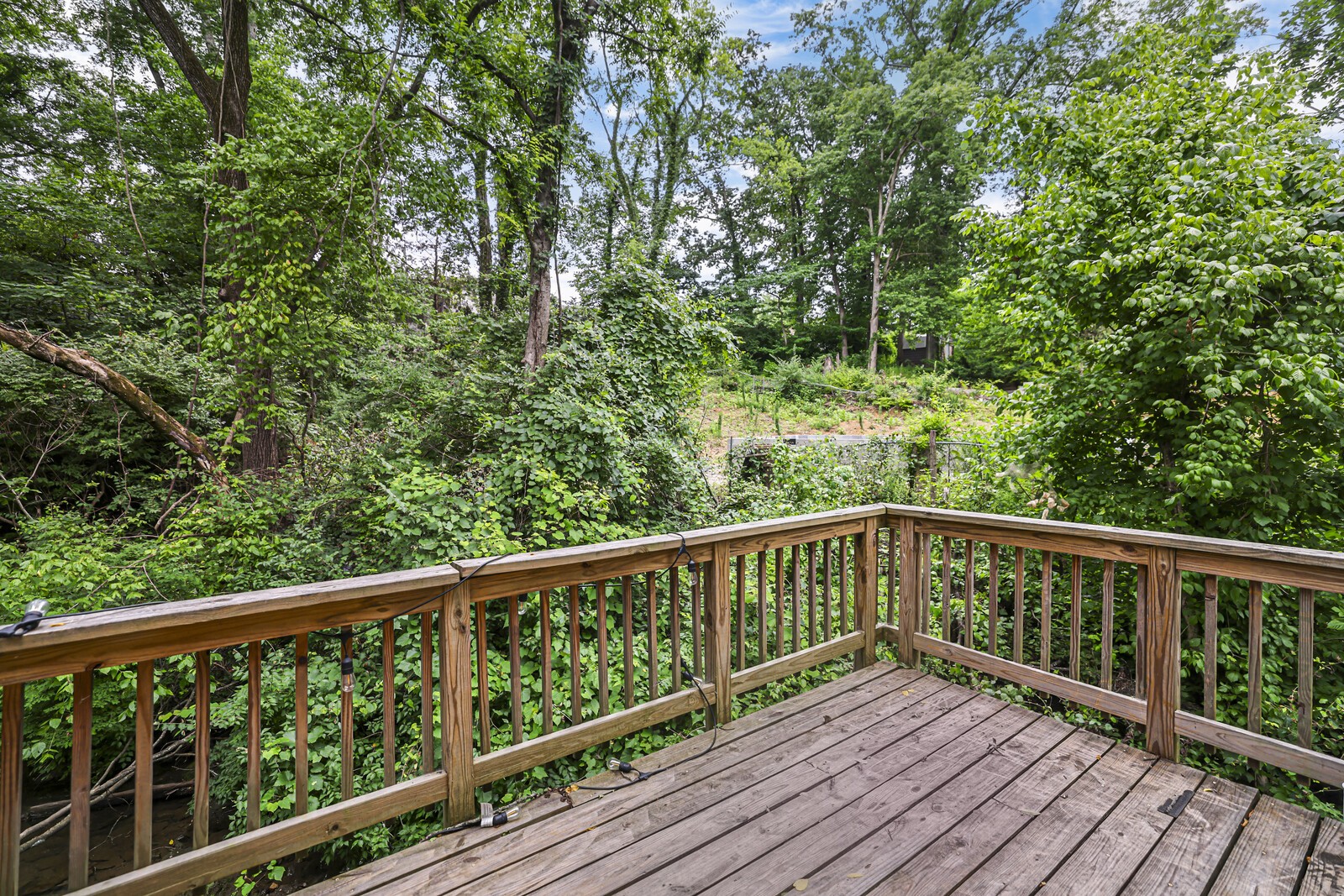 143 Old Tusculum Rd Property Photo 3
