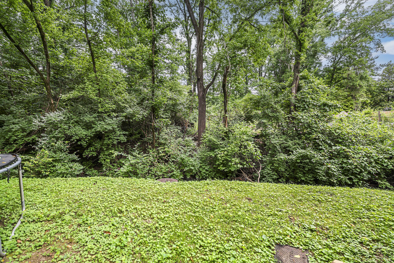 143 Old Tusculum Rd Property Photo 21