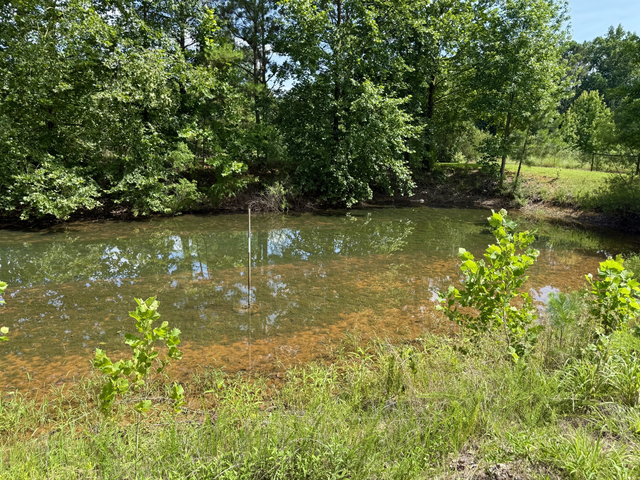 59 Hardin Loop Property Photo 41