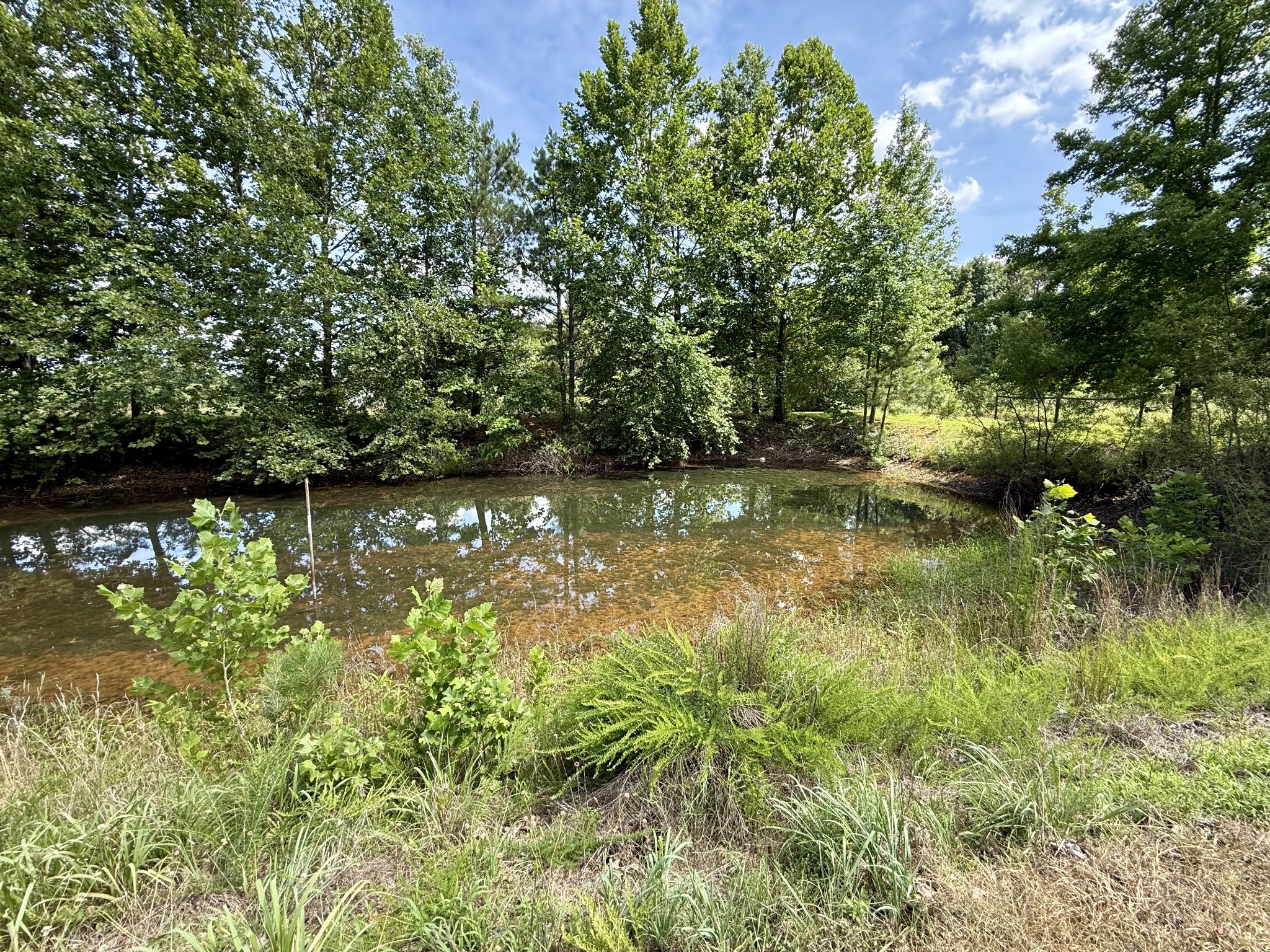 59 Hardin Loop Property Photo 42