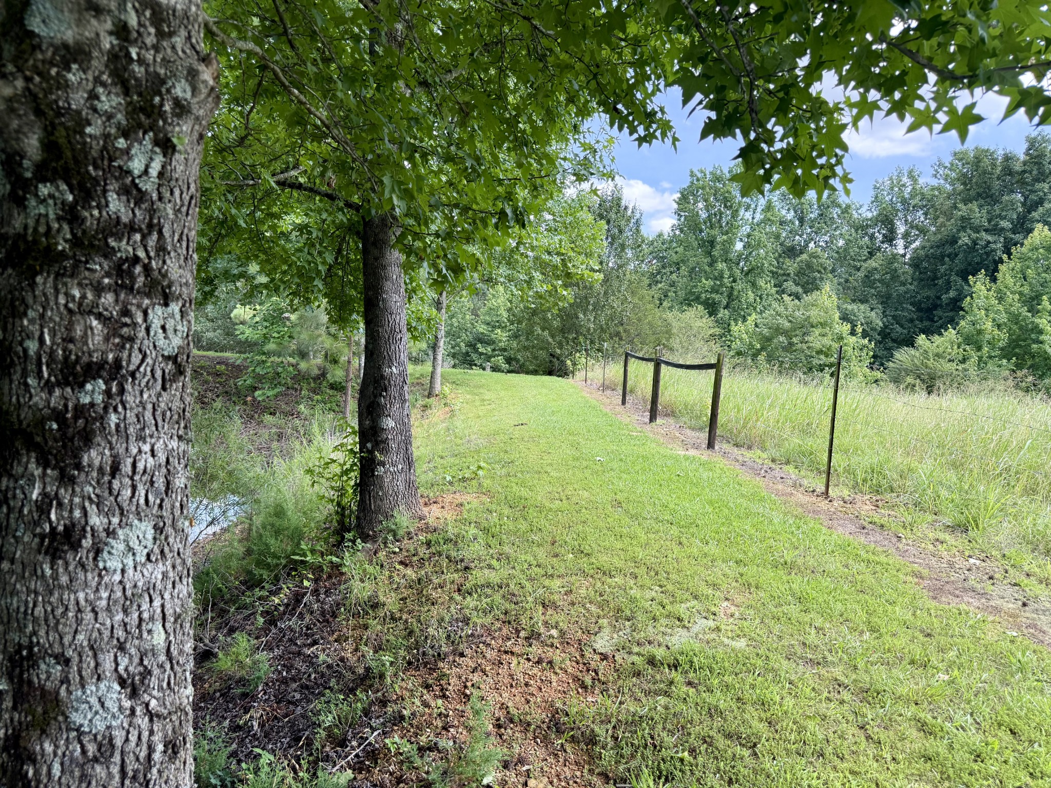 59 Hardin Loop Property Photo 43