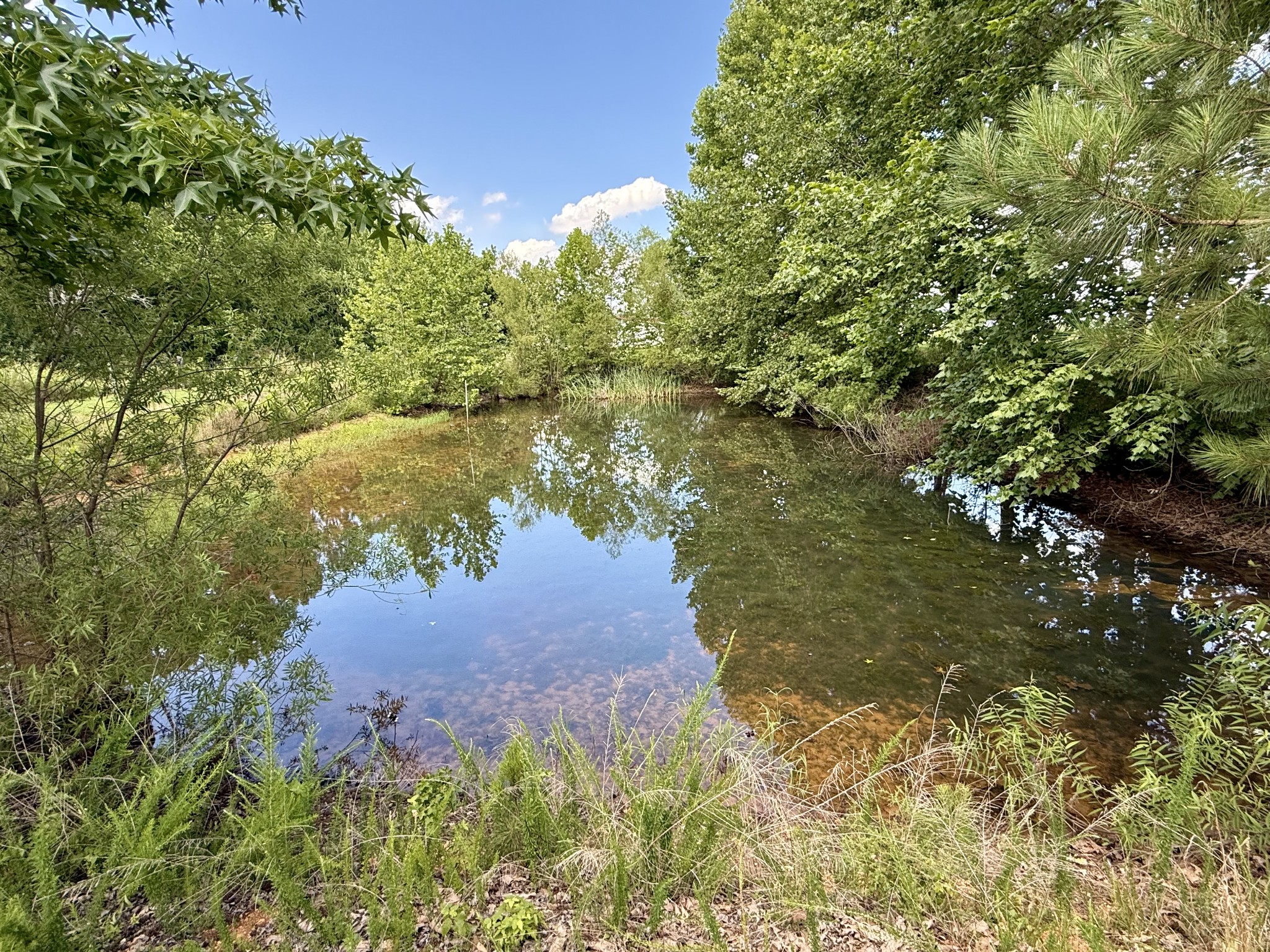 59 Hardin Loop Property Photo 44