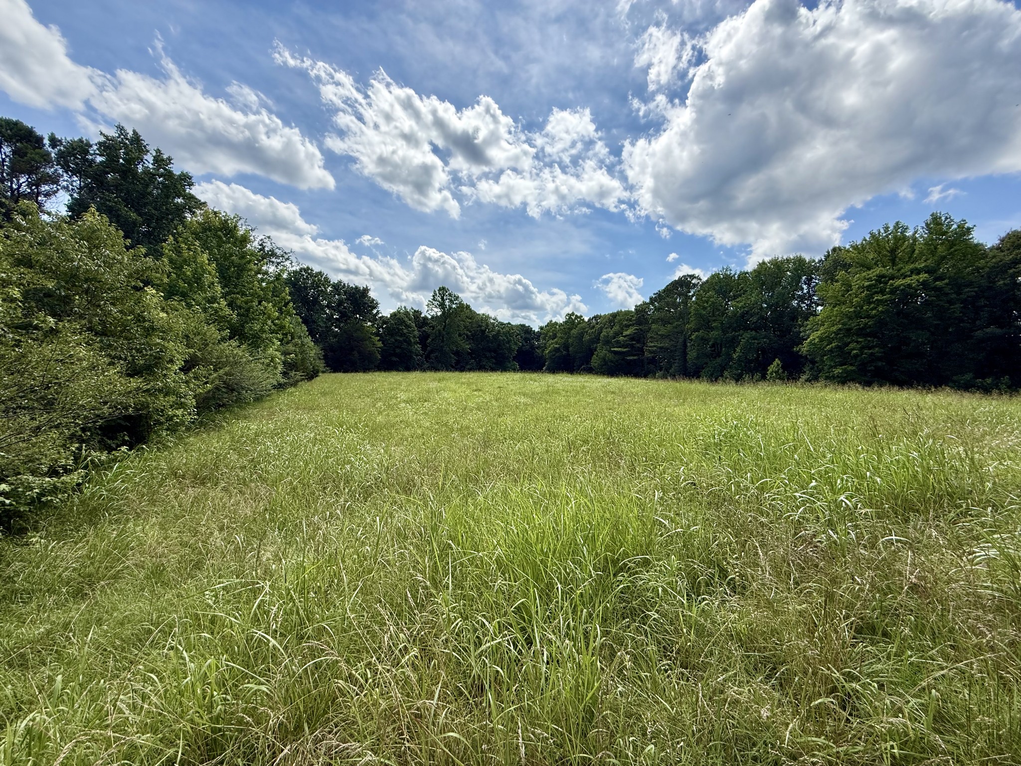 59 Hardin Loop Property Photo 46