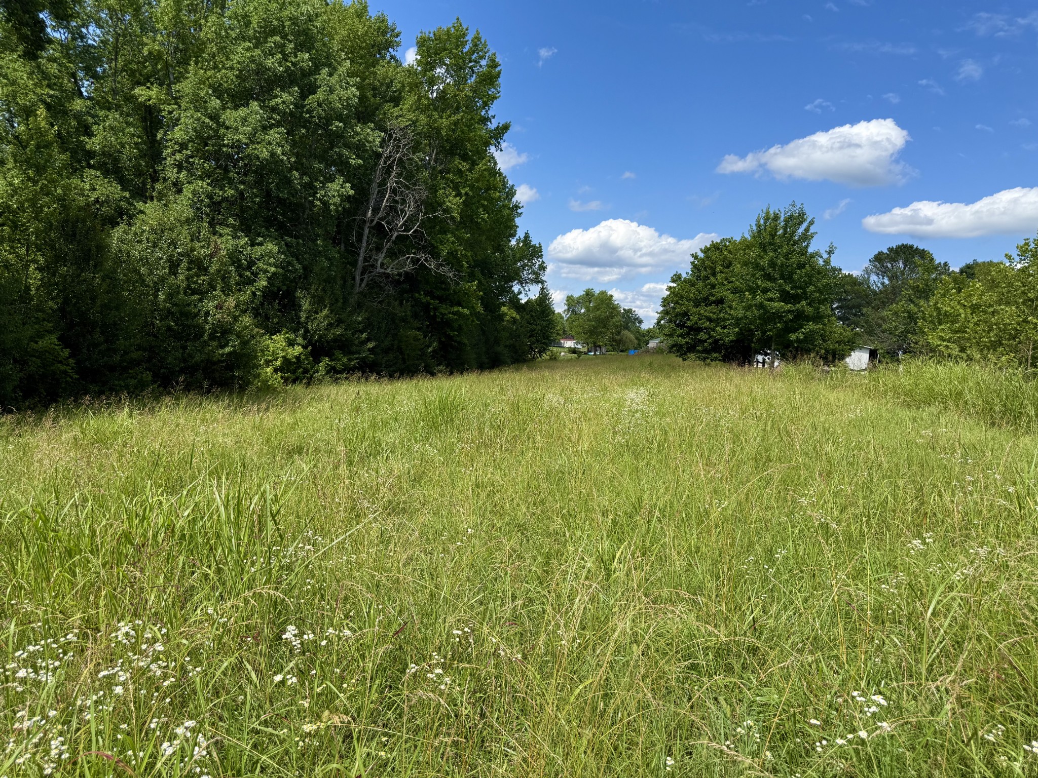 59 Hardin Loop Property Photo 47