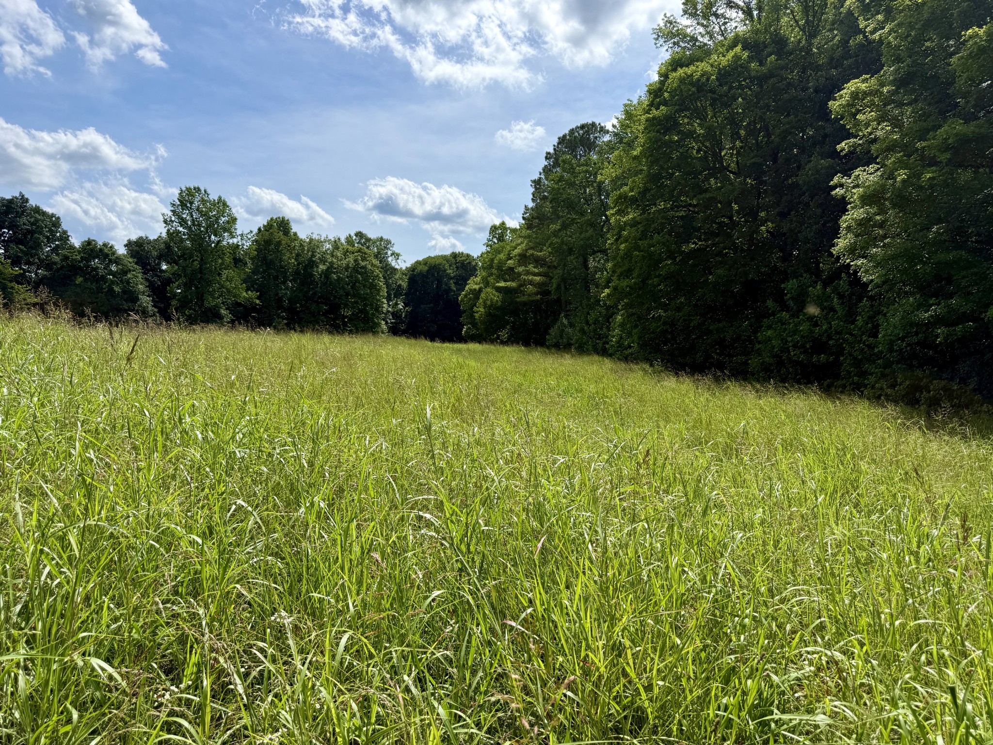59 Hardin Loop Property Photo 48