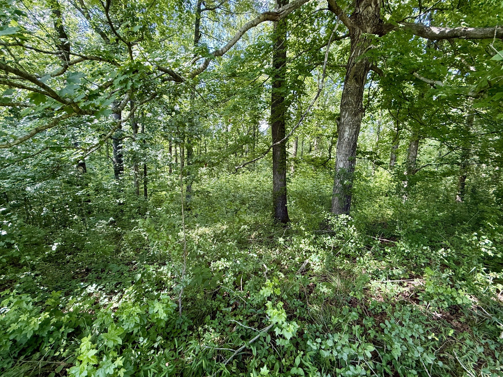 59 Hardin Loop Property Photo 49