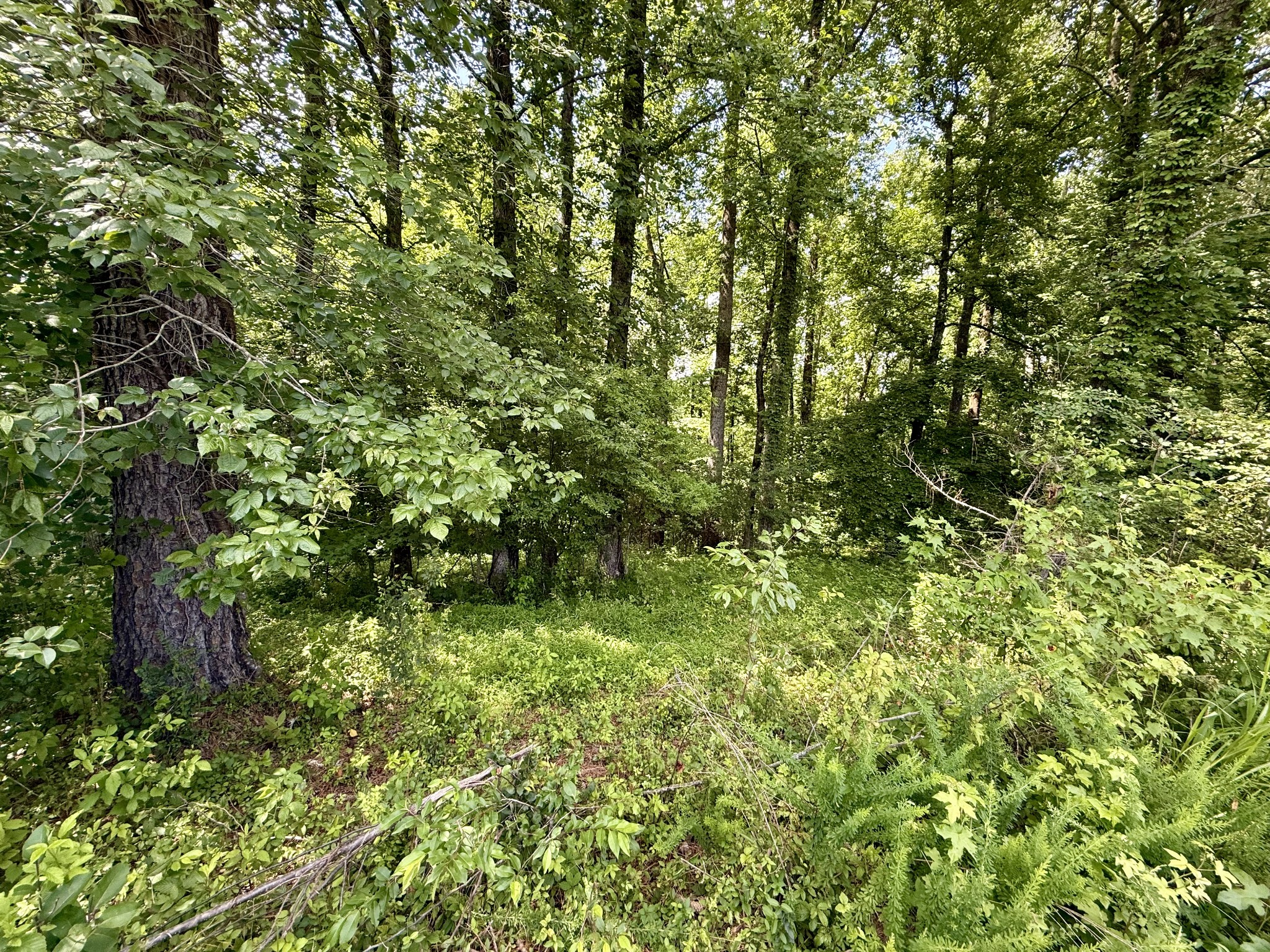 59 Hardin Loop Property Photo 50