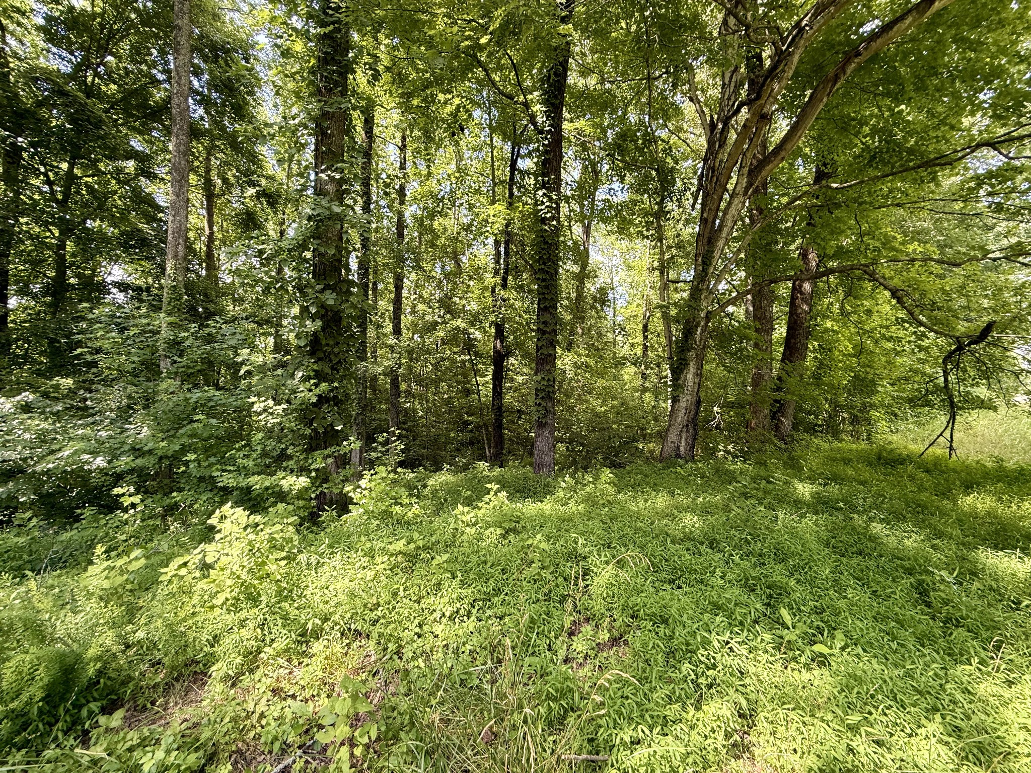 59 Hardin Loop Property Photo 51
