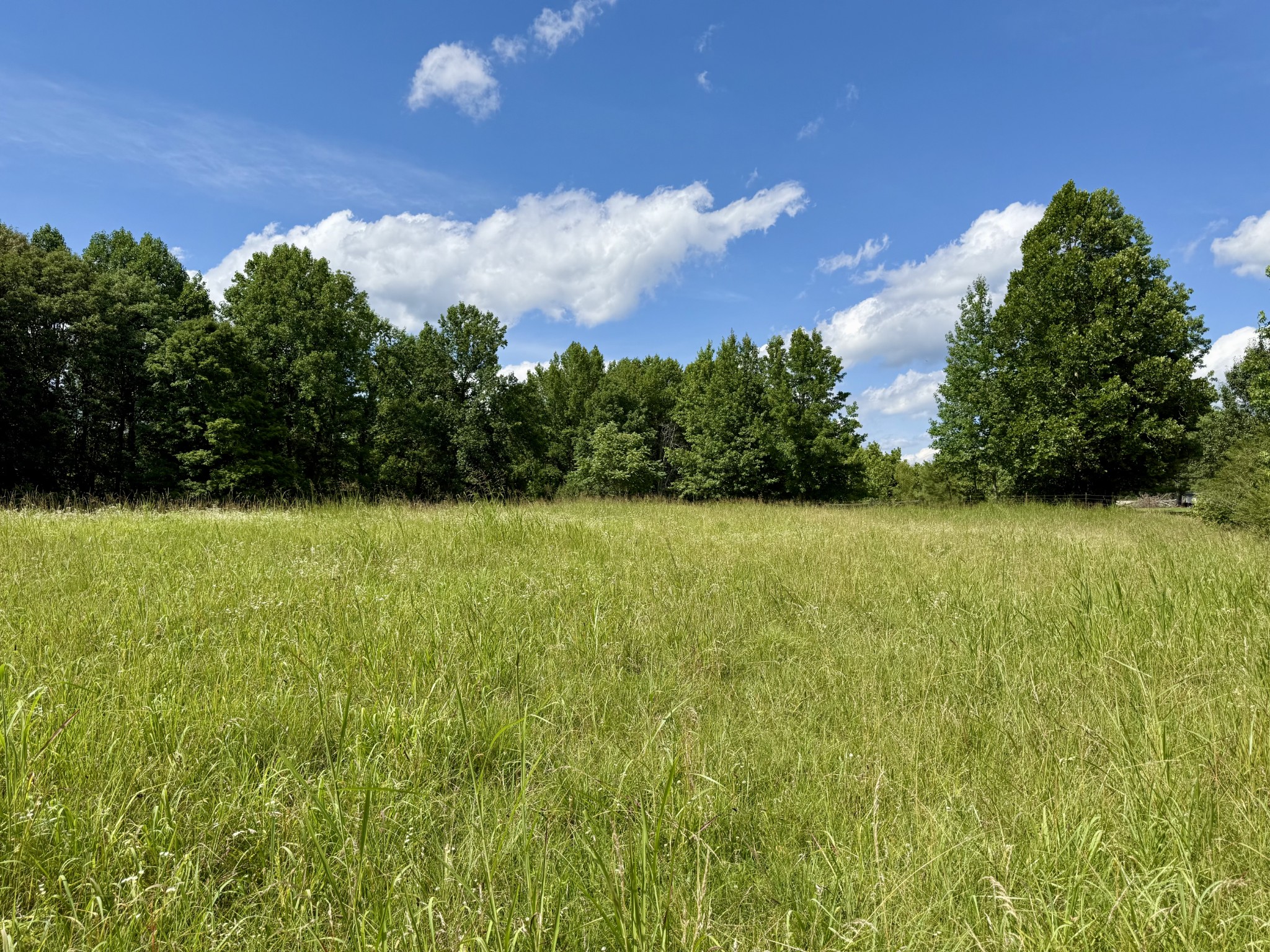 59 Hardin Loop Property Photo 52