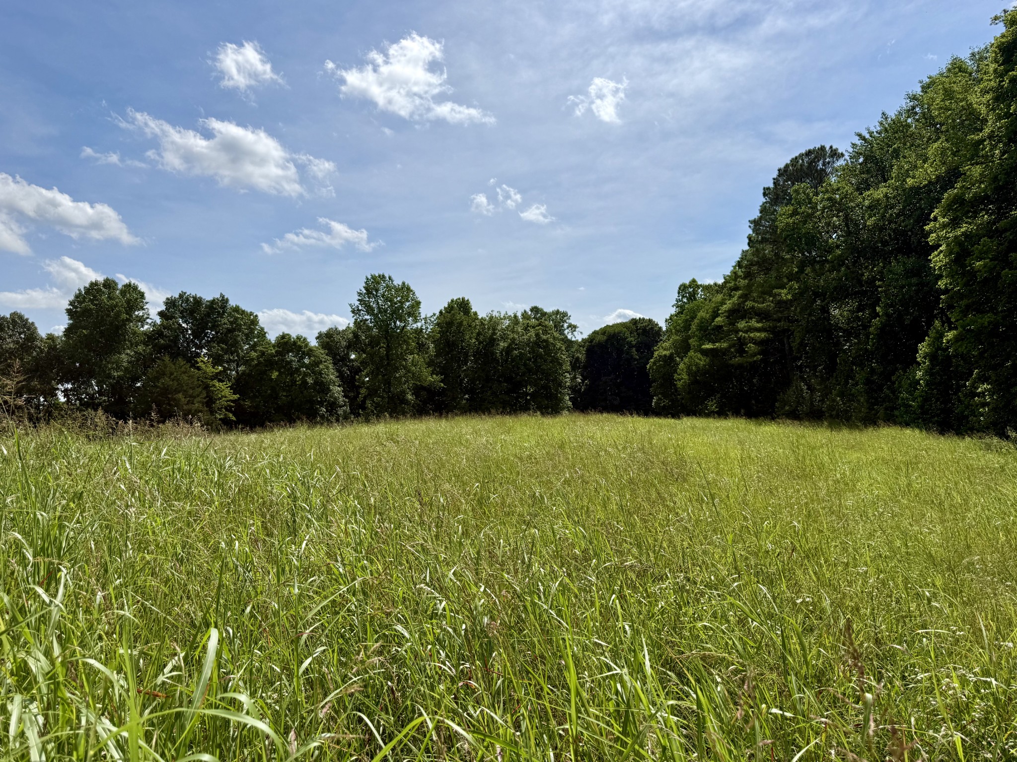 59 Hardin Loop Property Photo 53