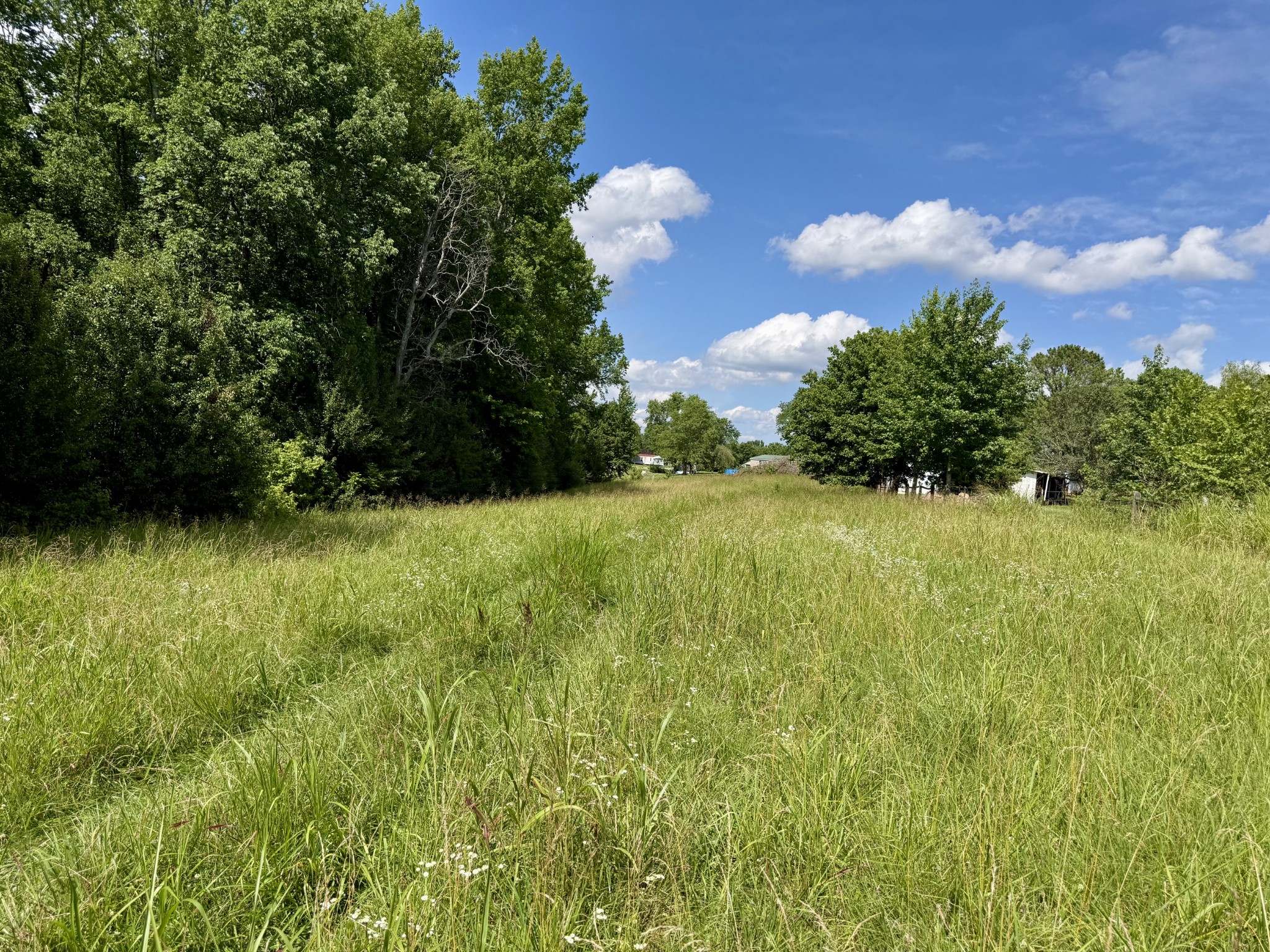 59 Hardin Loop Property Photo 54