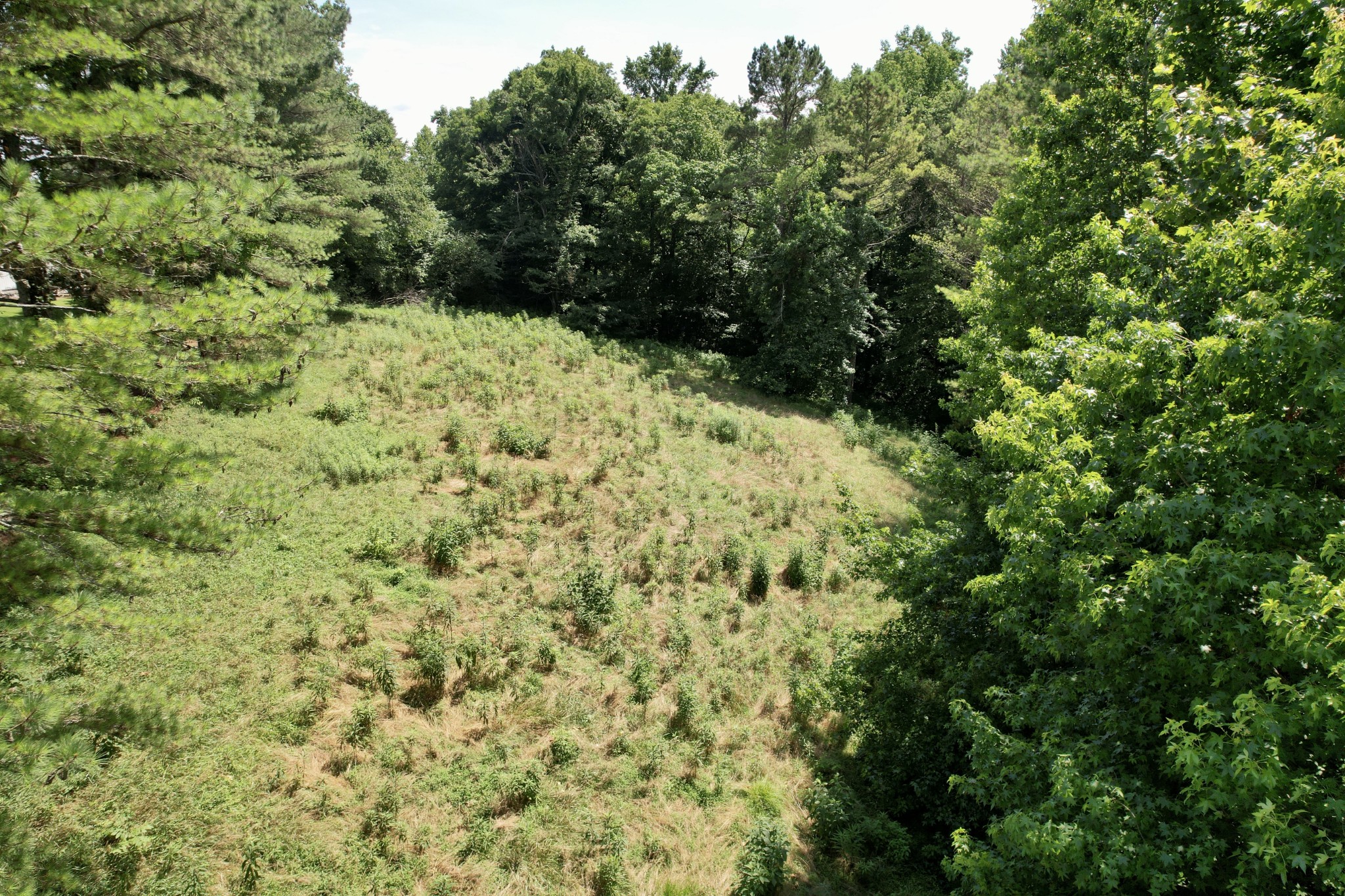 59 Hardin Loop Property Photo 61