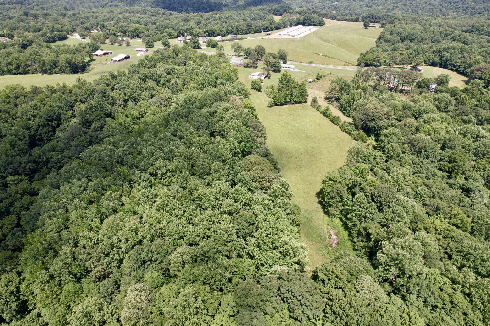59 Hardin Loop Property Photo 67