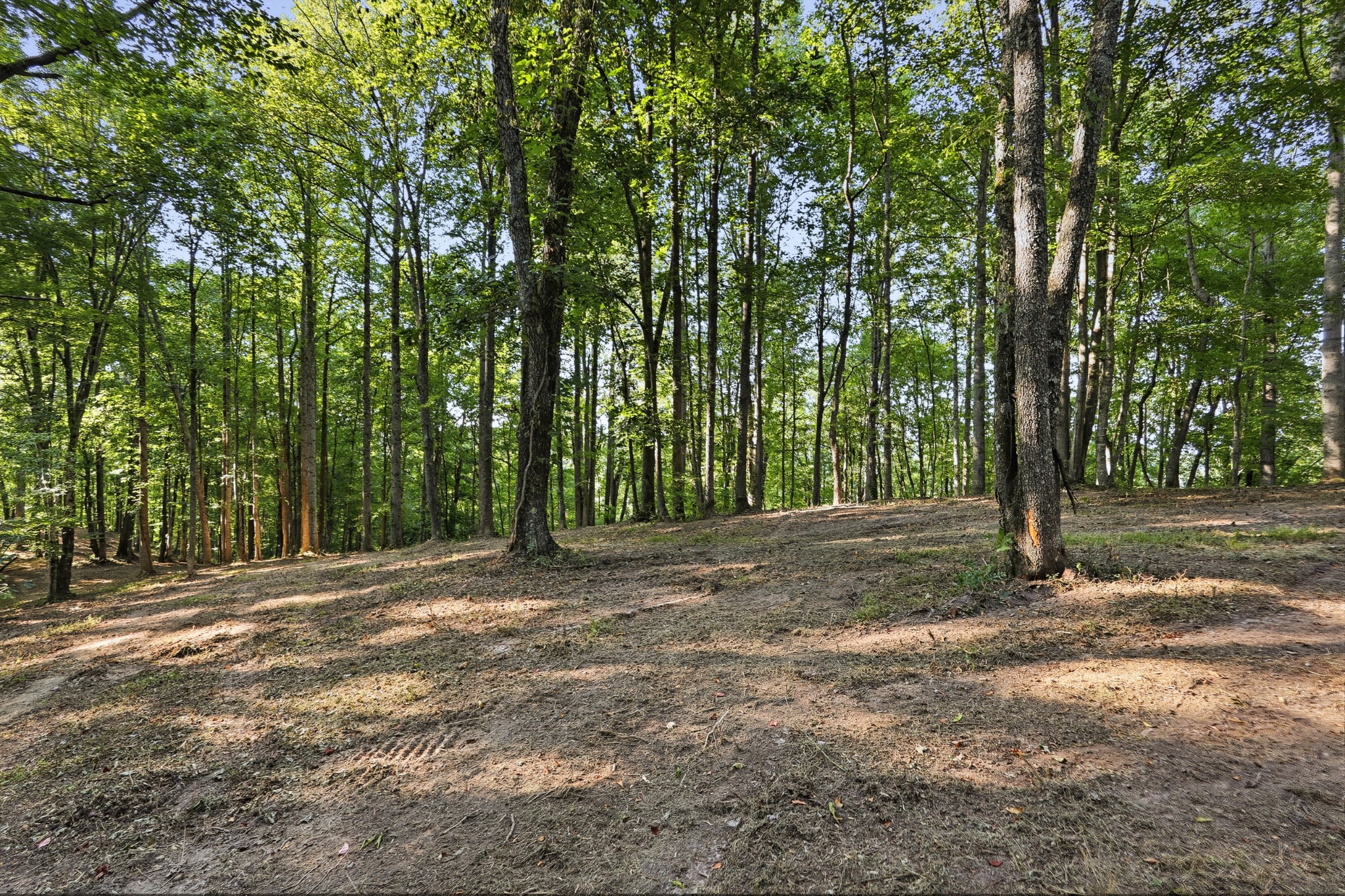 4701 Sparta Hwy Property Photo 20