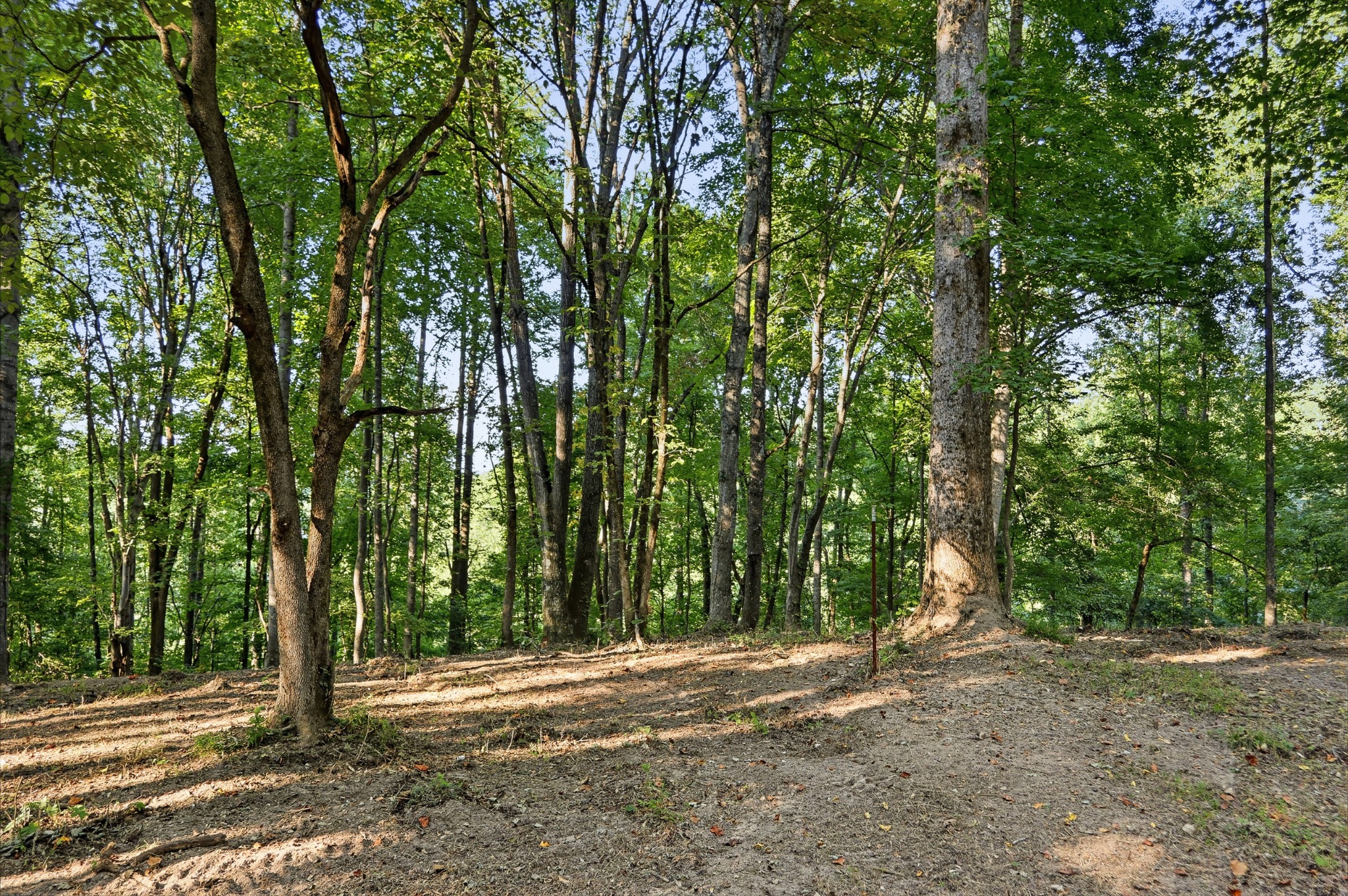 4701 Sparta Hwy Property Photo 22