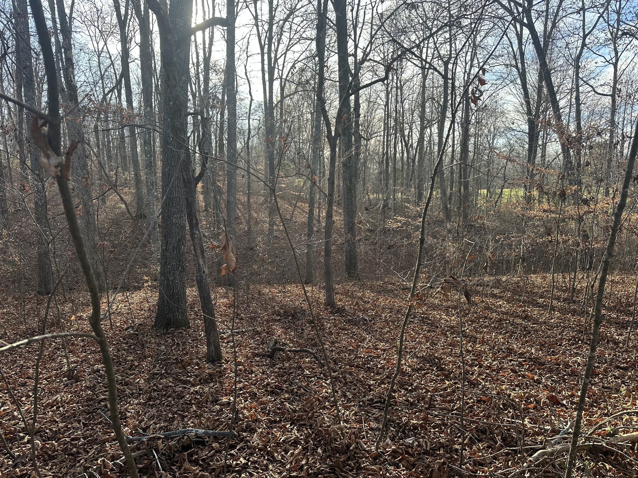 0 Arnold Thomas Rd Property Photo 13