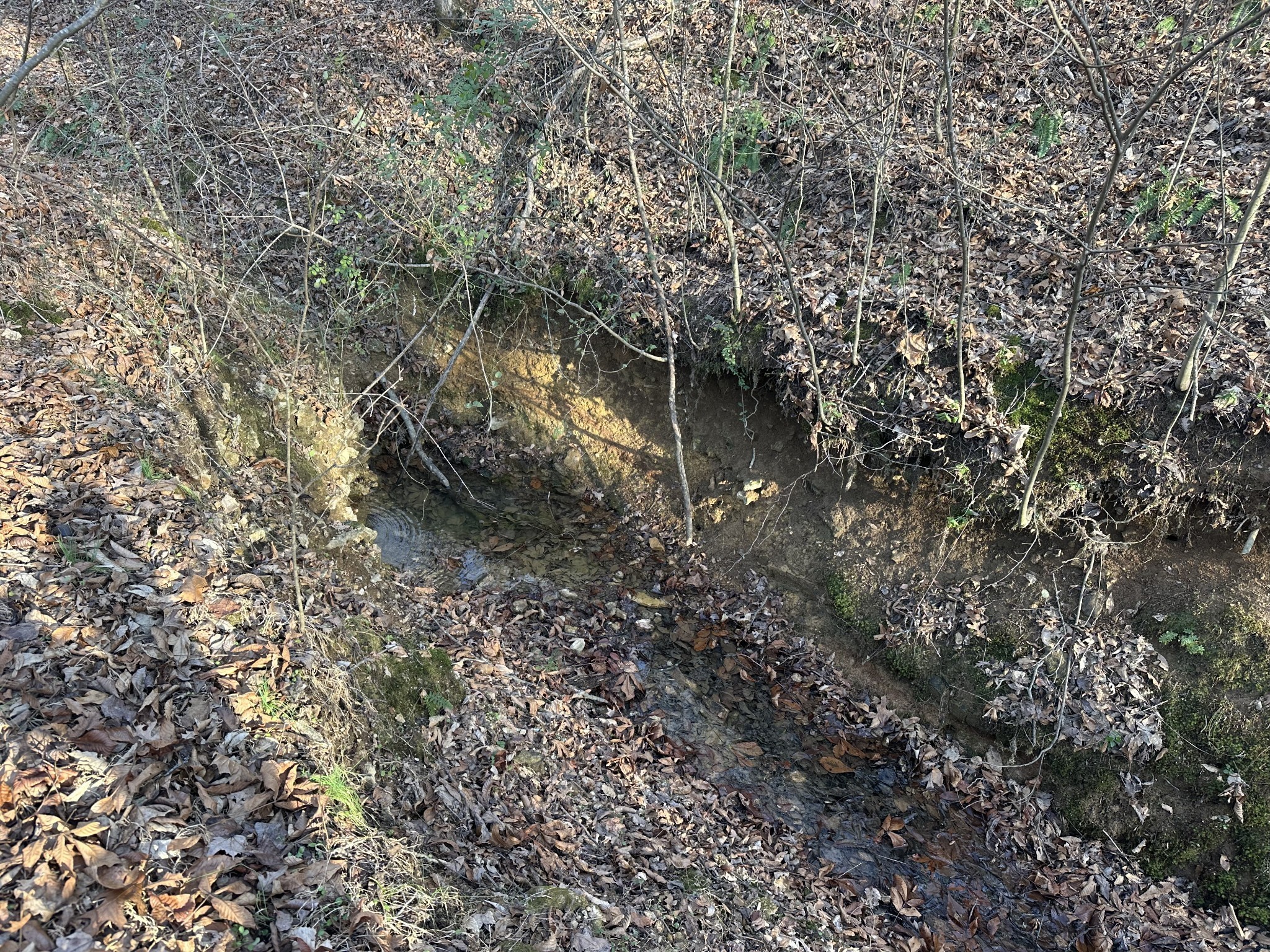 0 Arnold Thomas Rd Property Photo 17