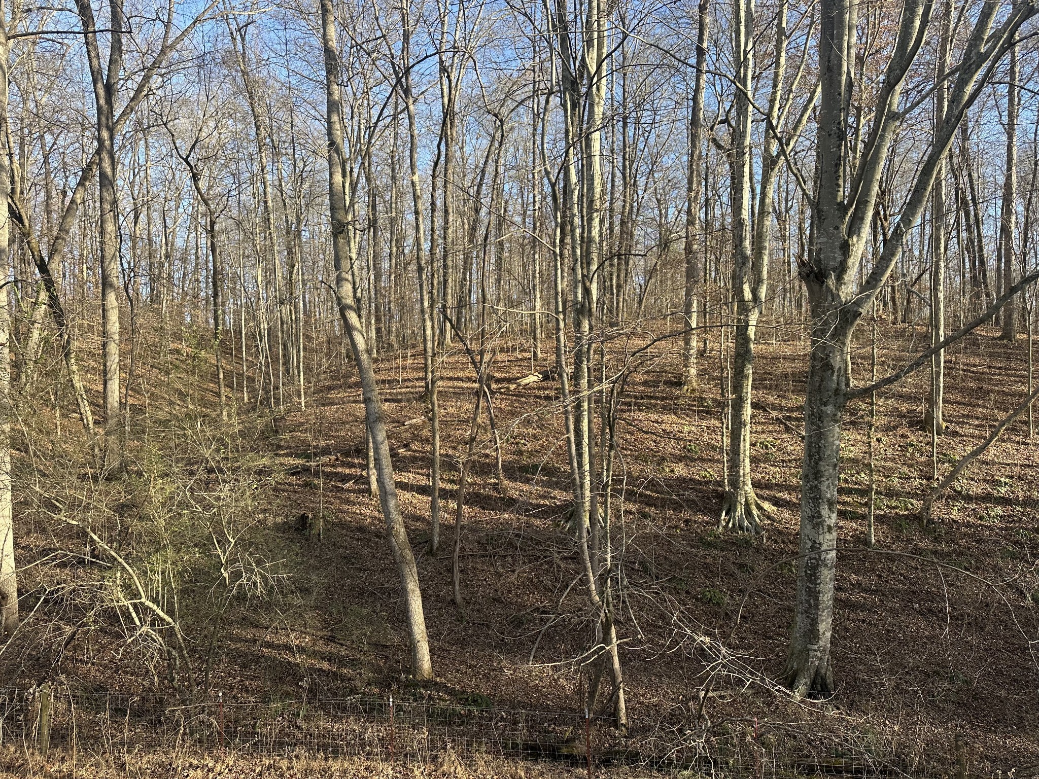 0 Arnold Thomas Rd Property Photo 18