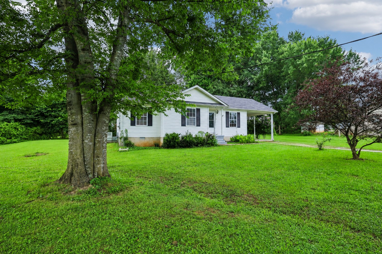 310 Redbud Ln Property Photo 1