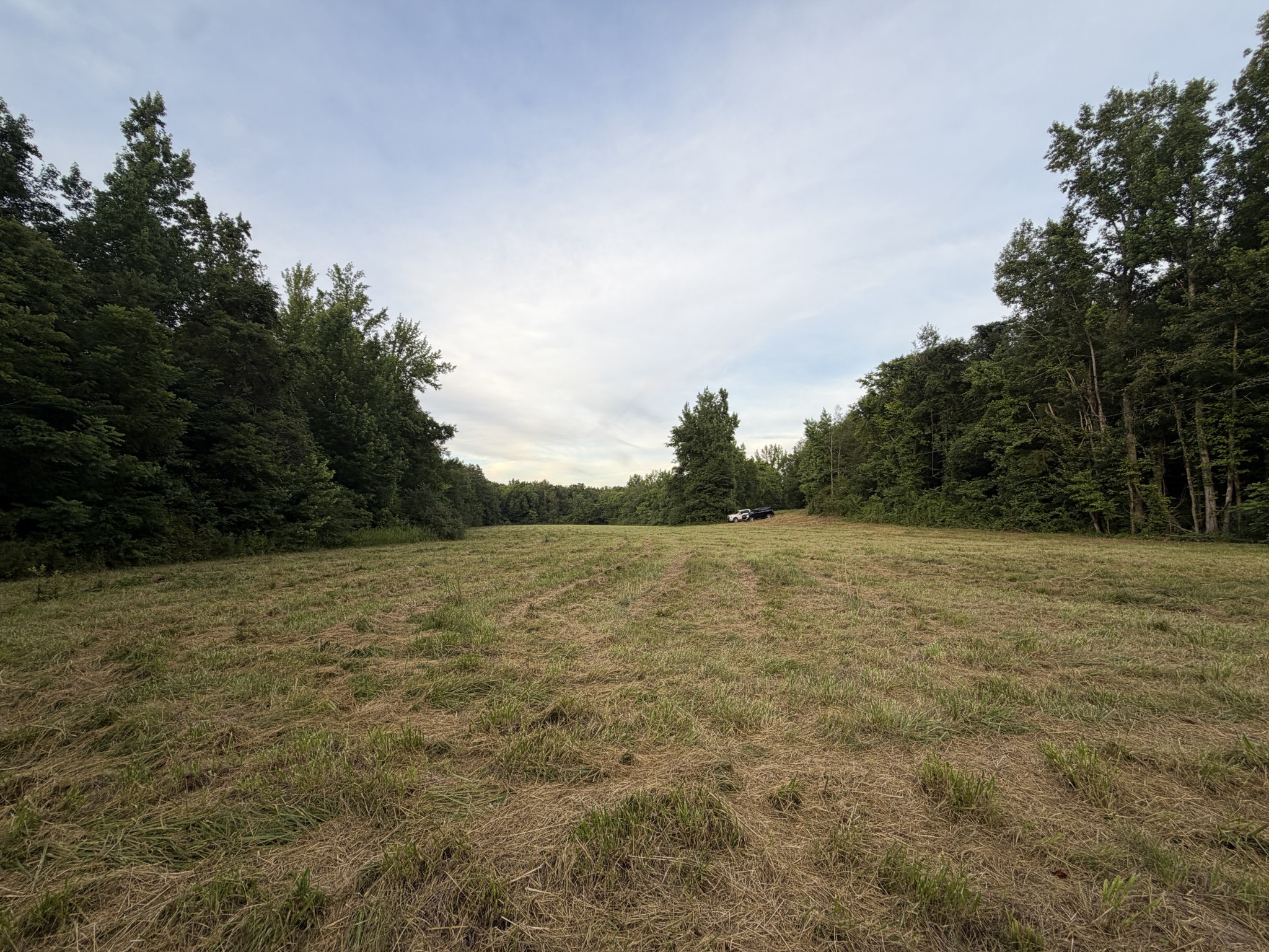 0 Dry Branch Rd Property Photo 1