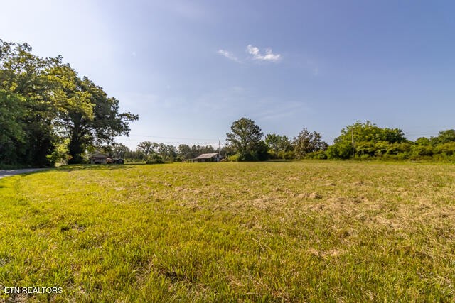 4515 Highway 411 Property Photo 8