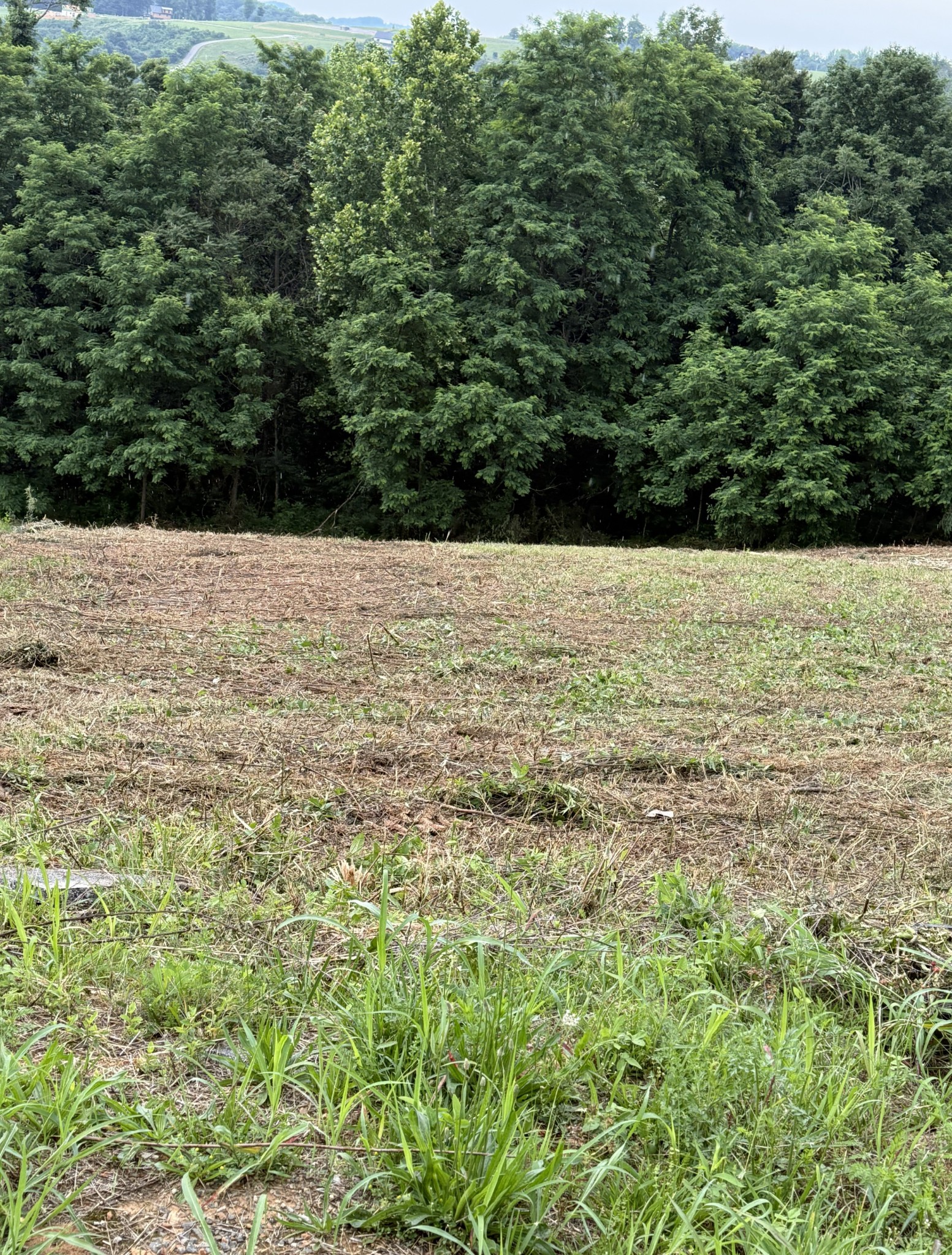 0 Mallard Rd Property Photo 3
