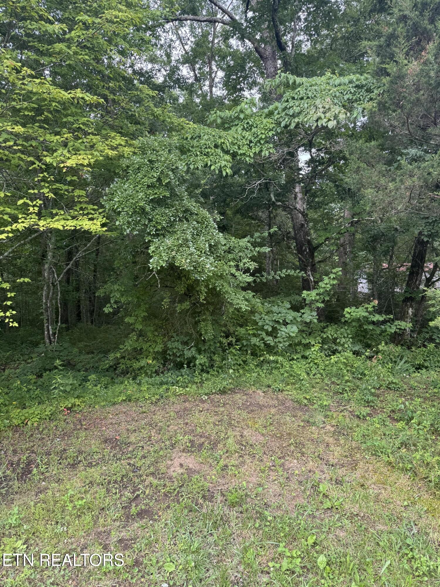 0 Timothy Drive