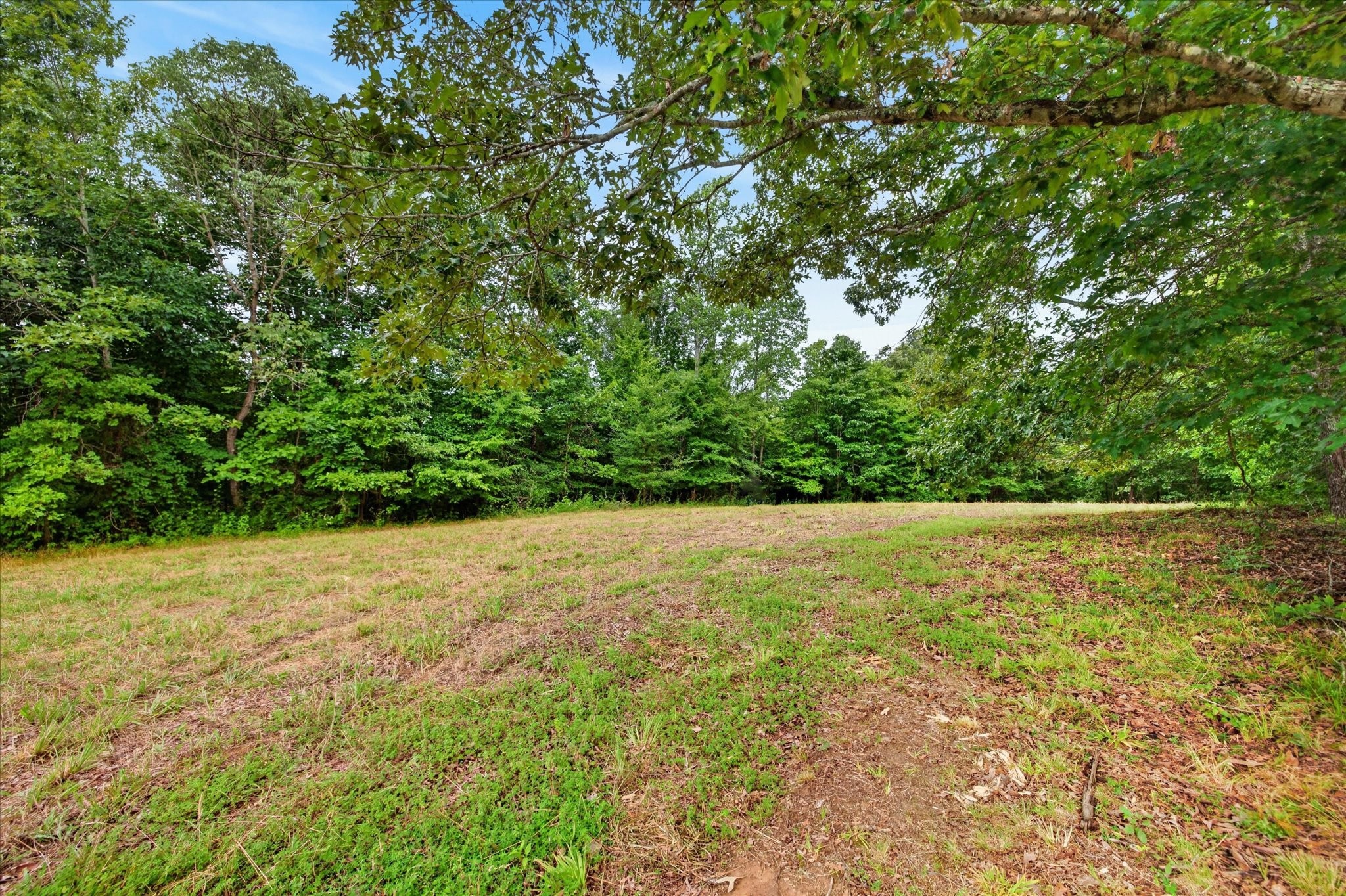 0 Homestead Court Property Photo 1